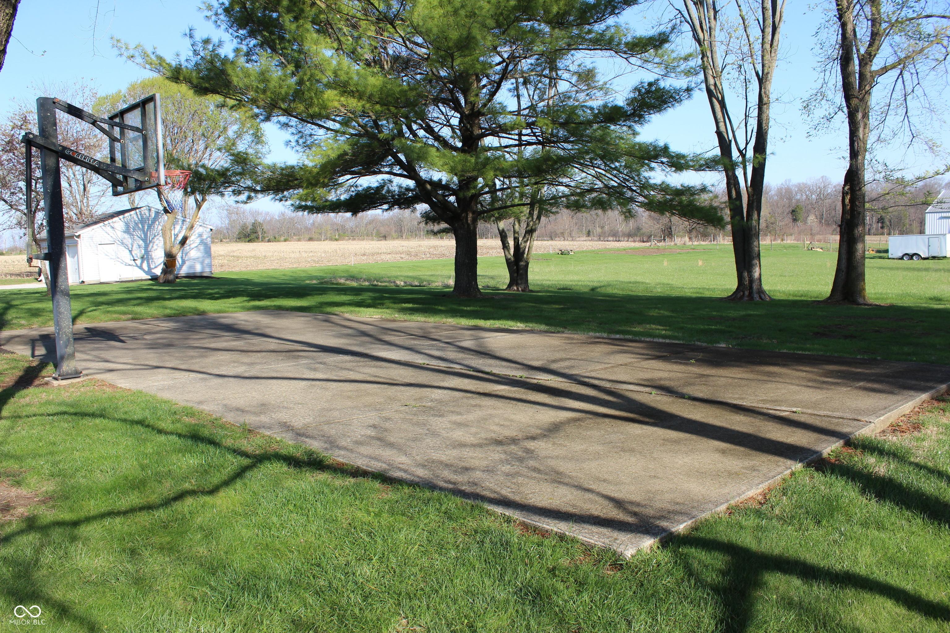 Photo #36