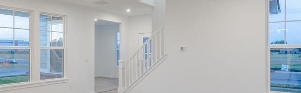 Photo #11