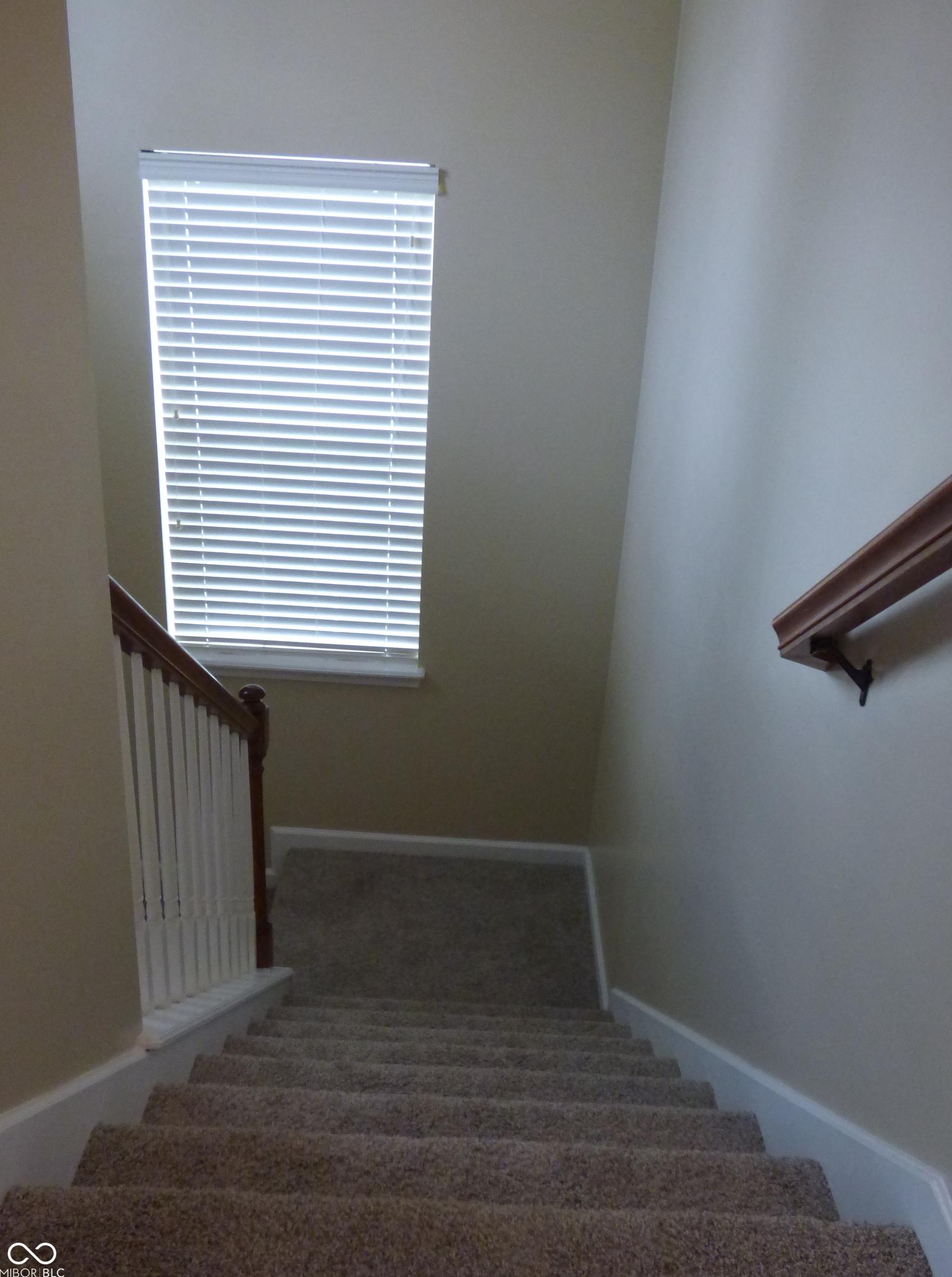 Photo #23