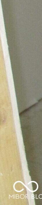 Photo #6