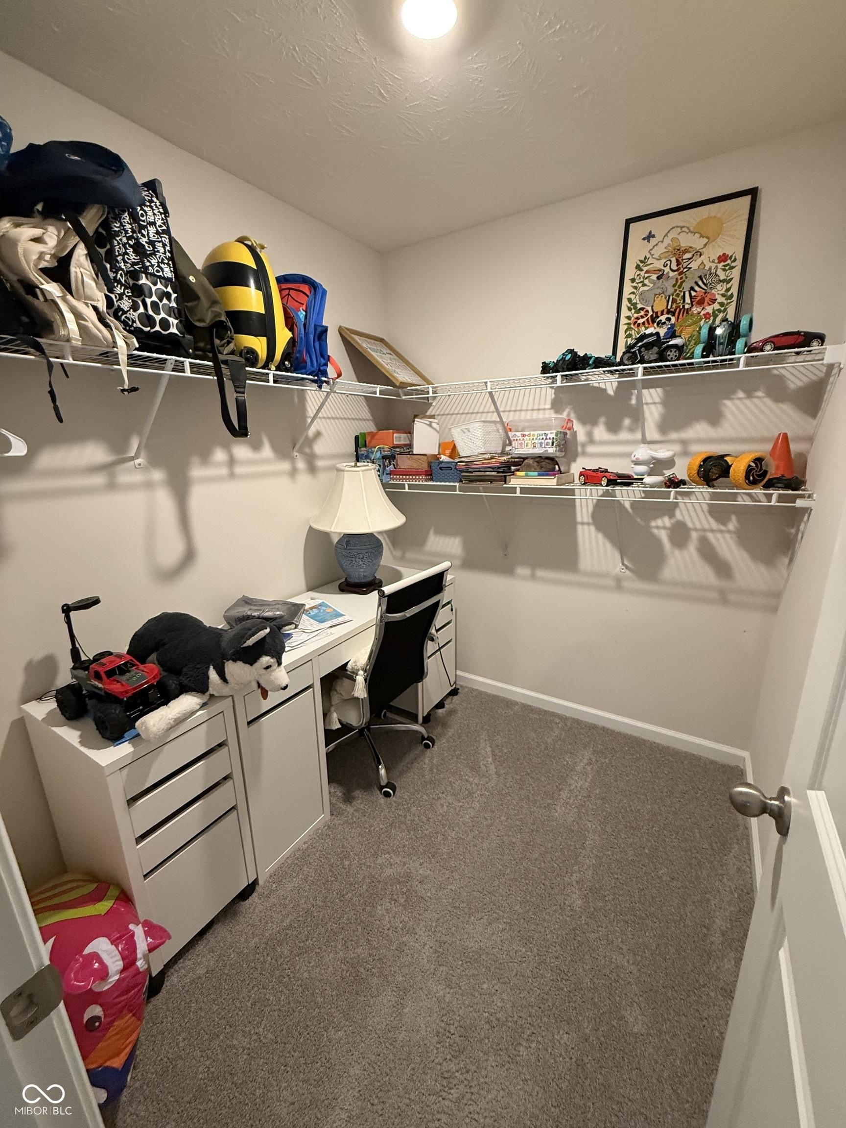 Photo #17