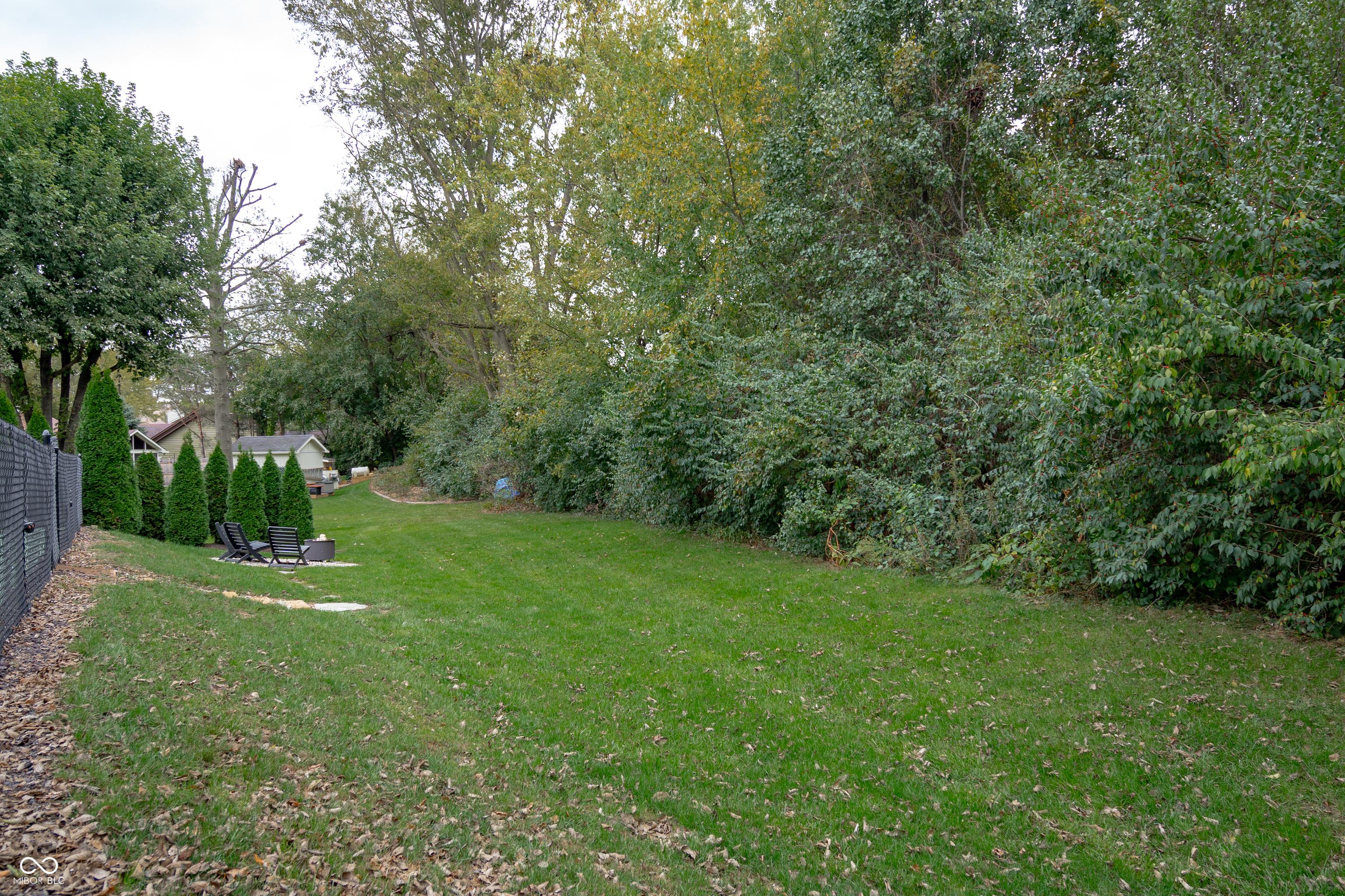 Photo #42
