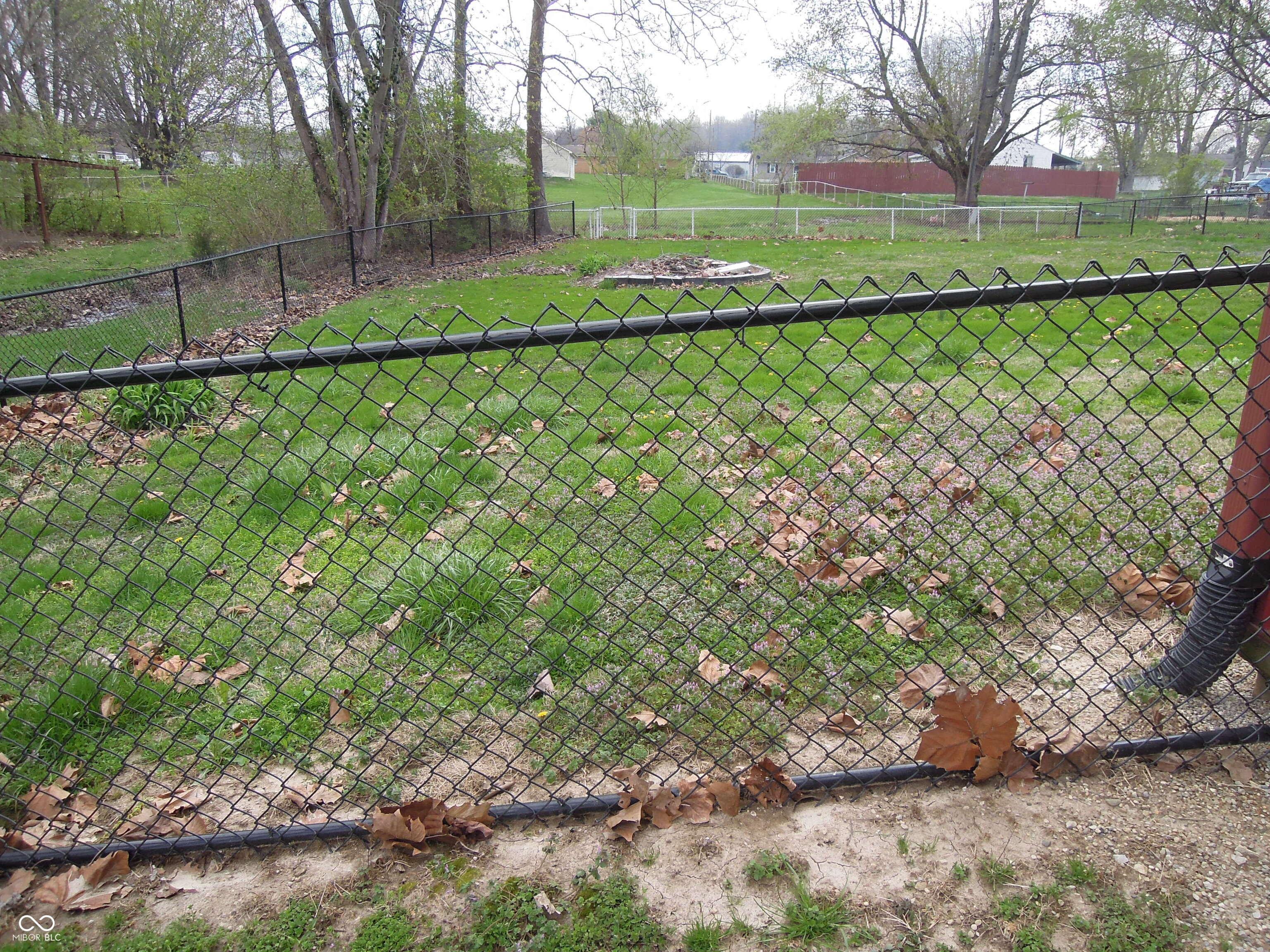 Photo #47