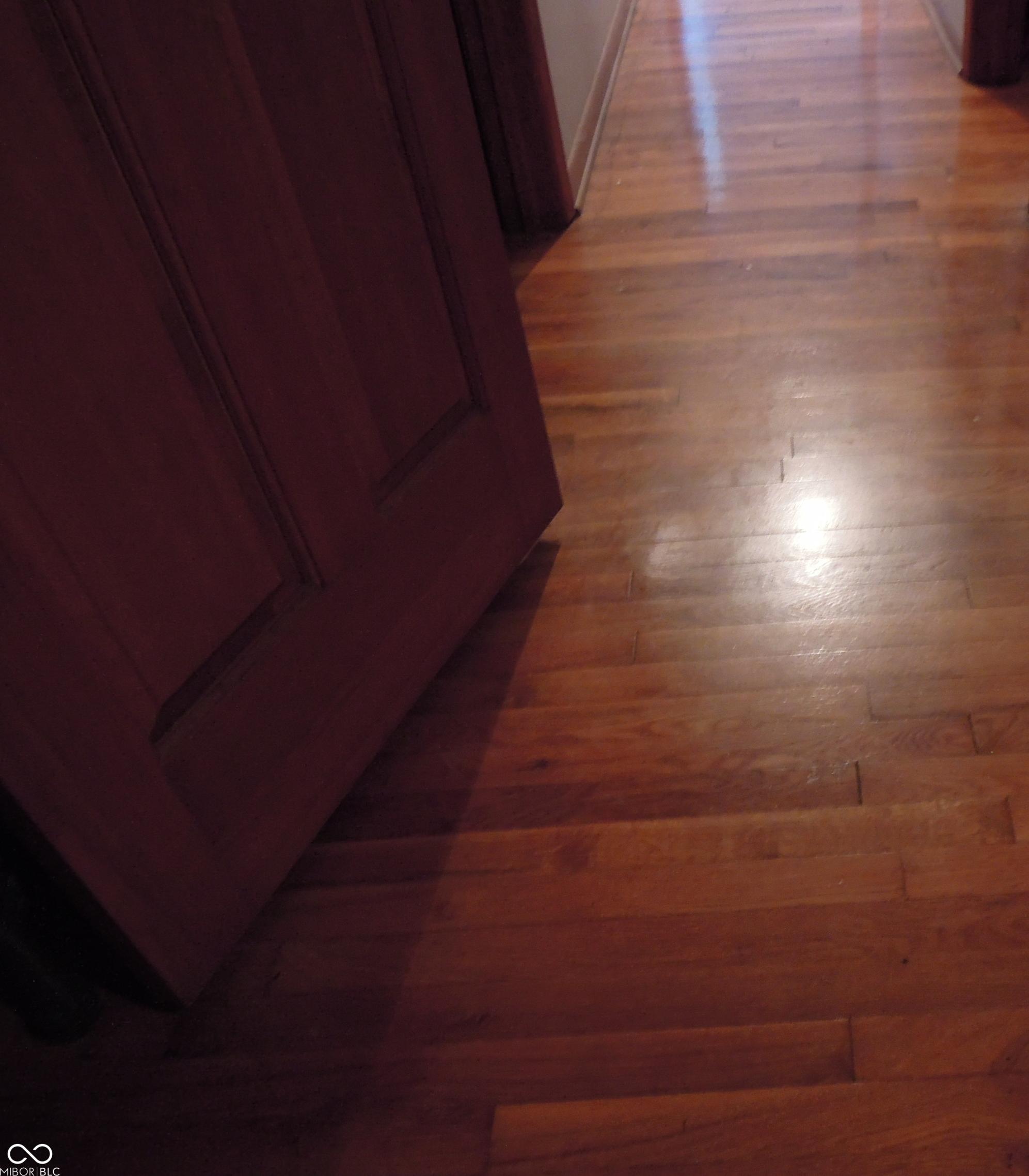 Photo #24