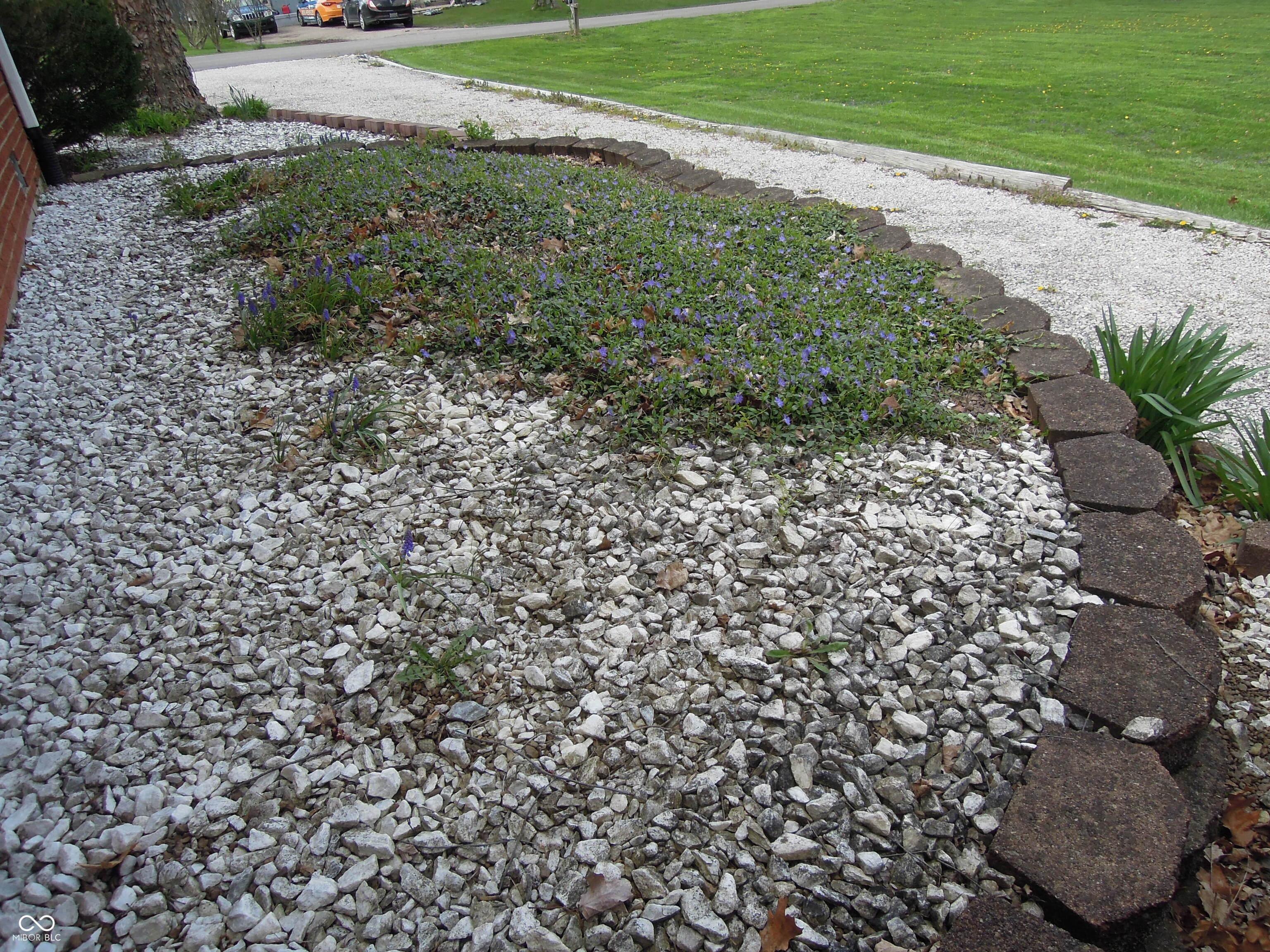 Photo #65
