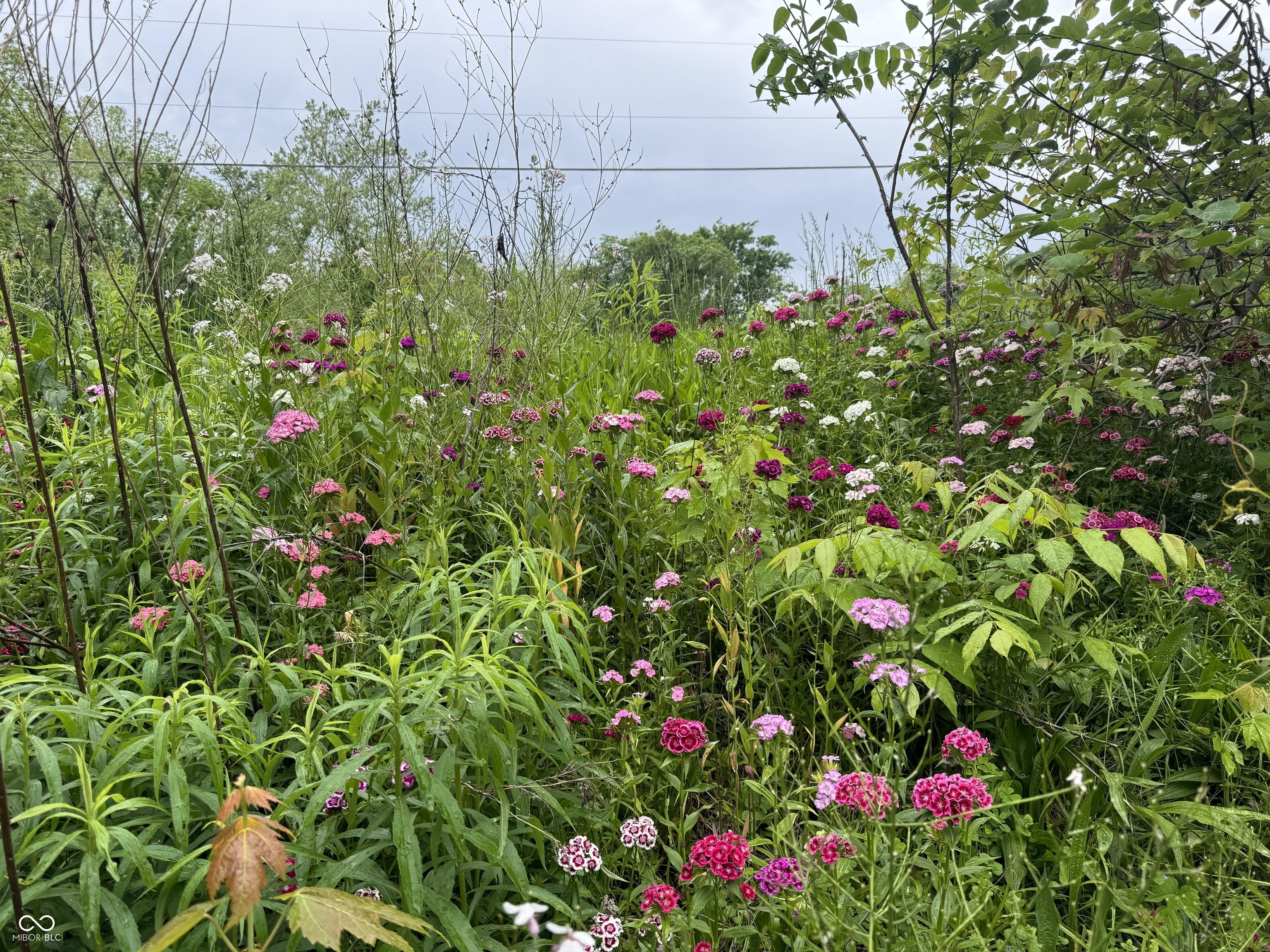 Photo #48