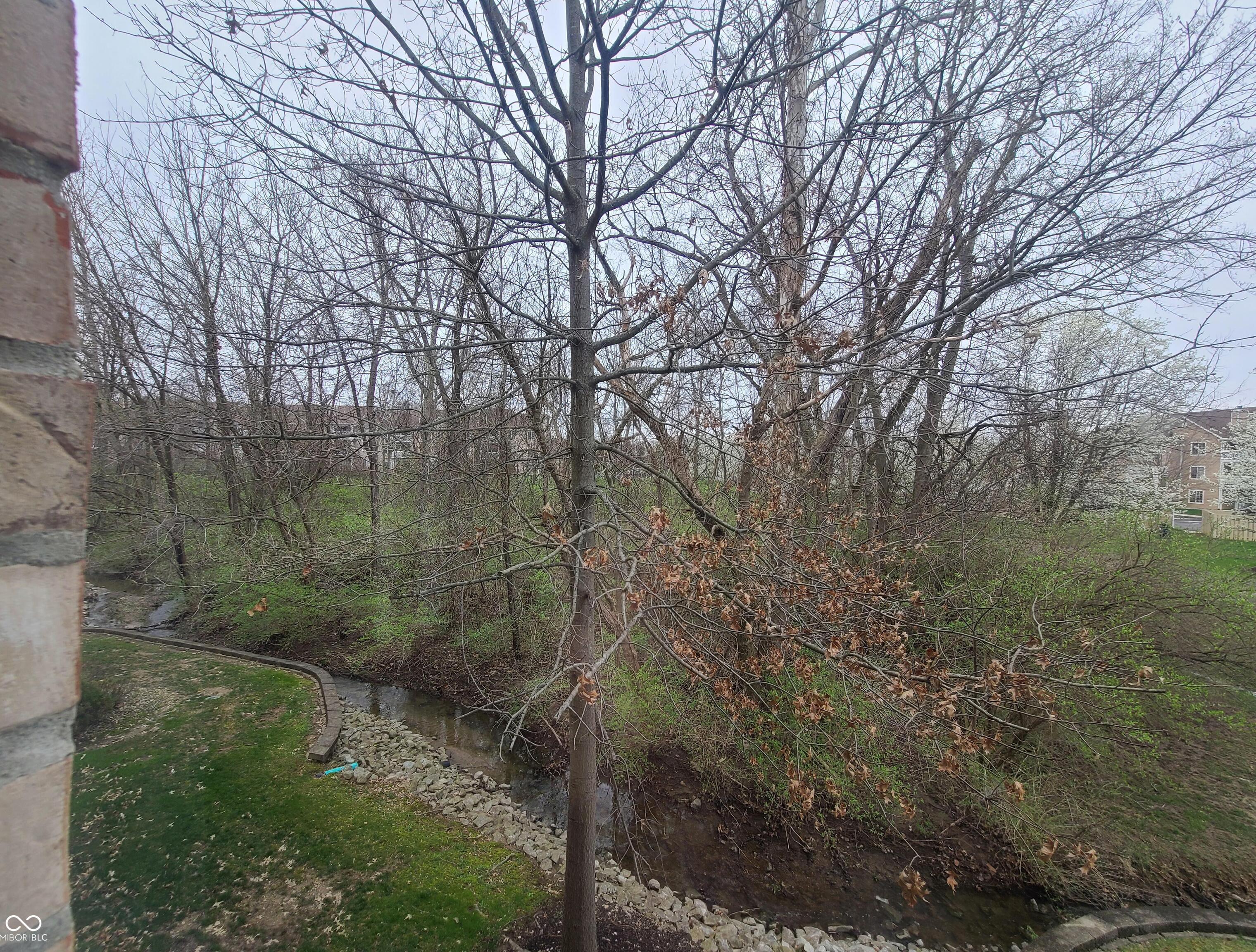 Photo #34
