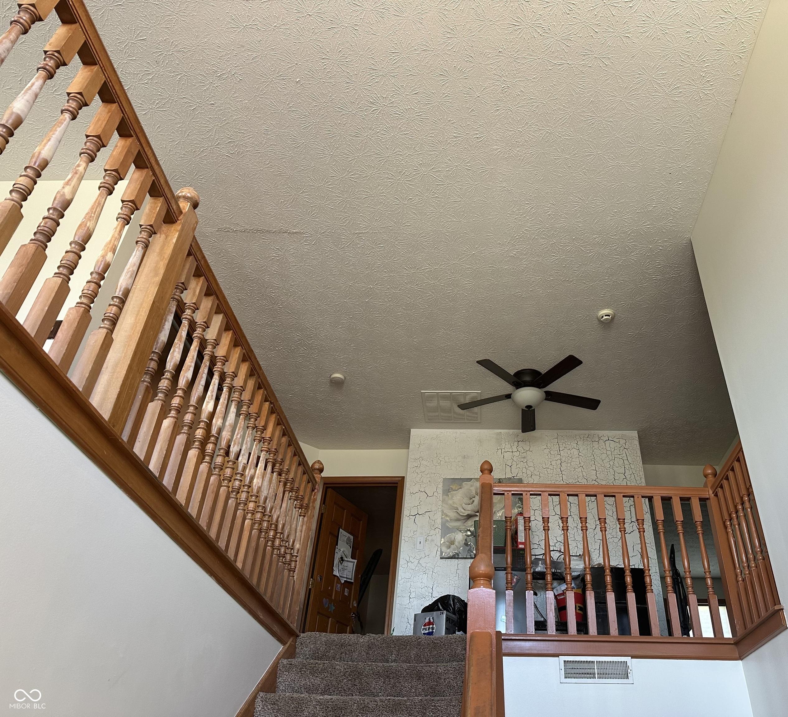 Photo #13