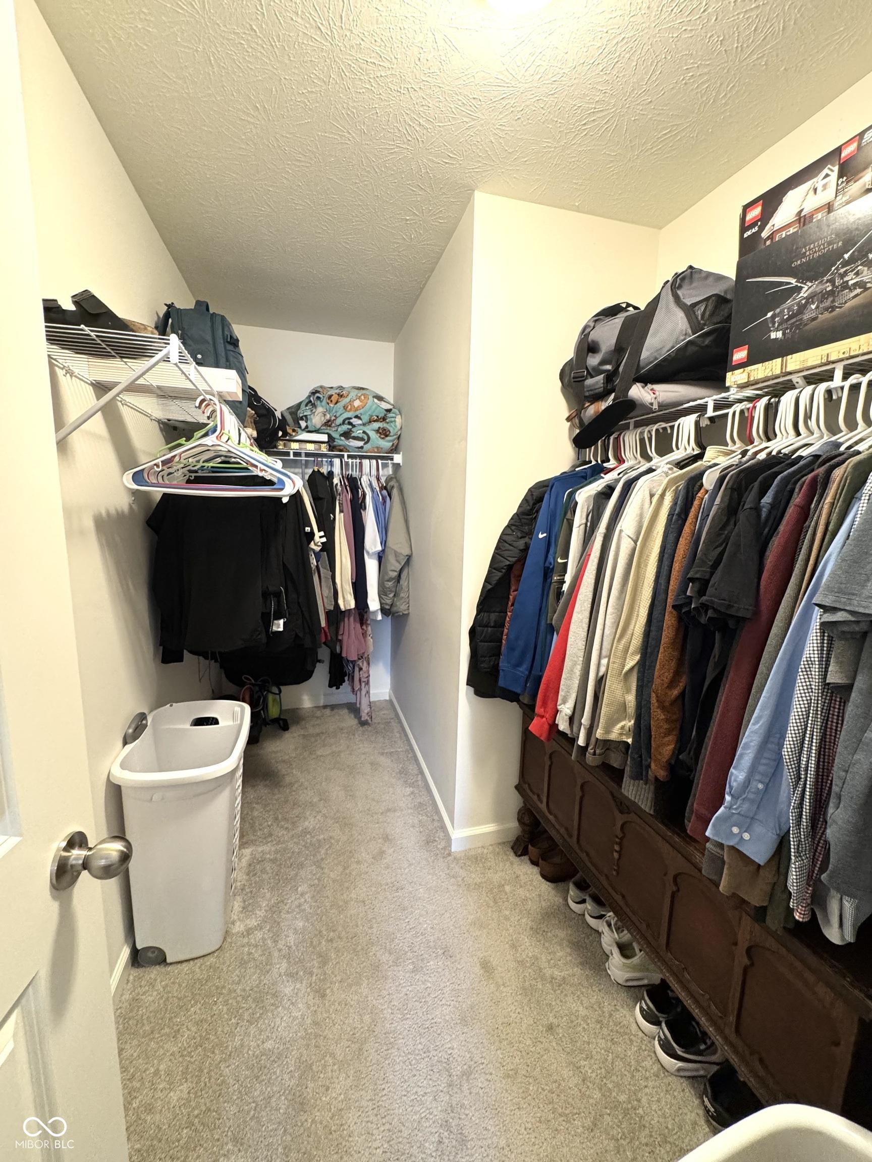 Photo #15