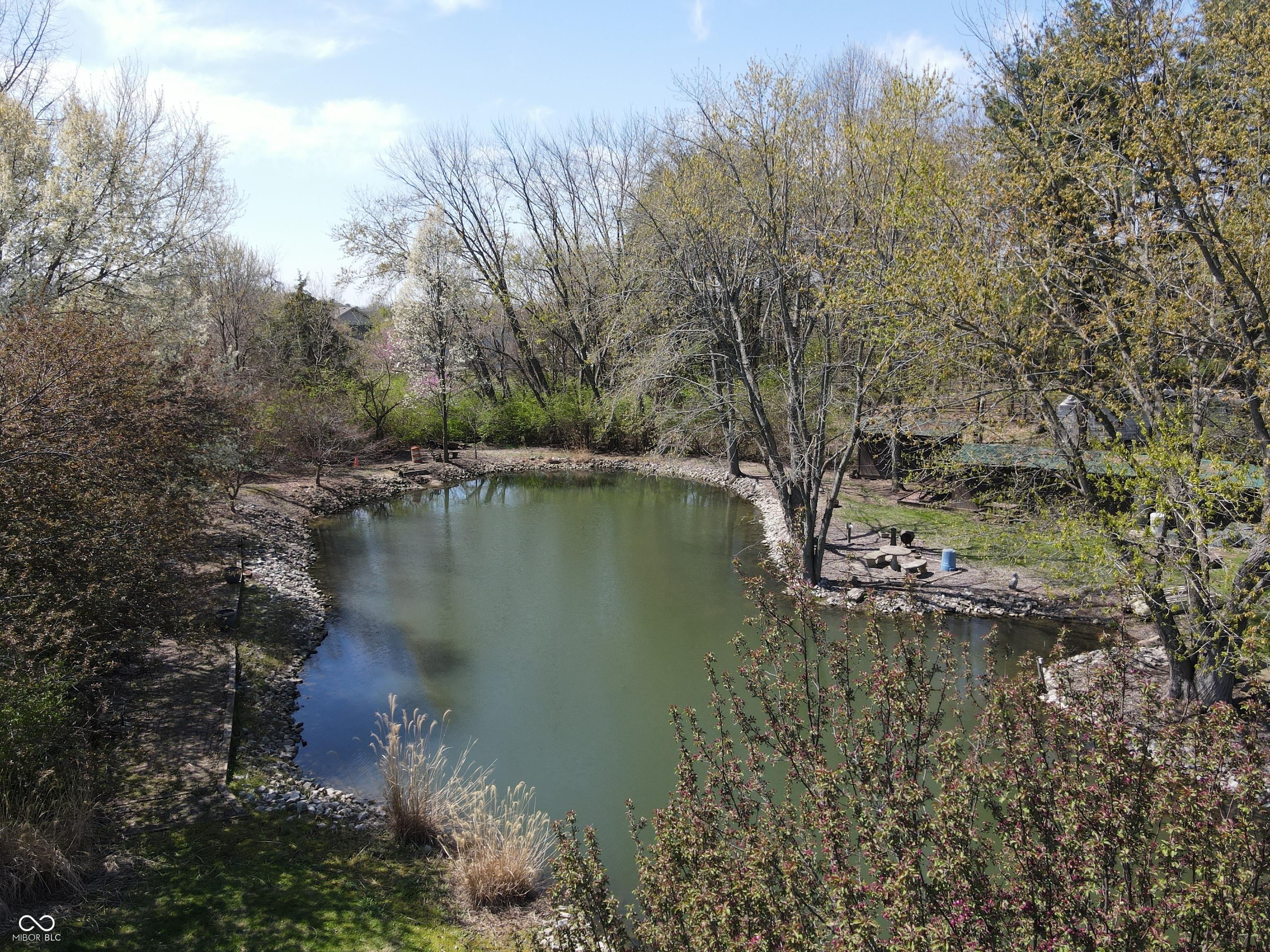 Photo #13