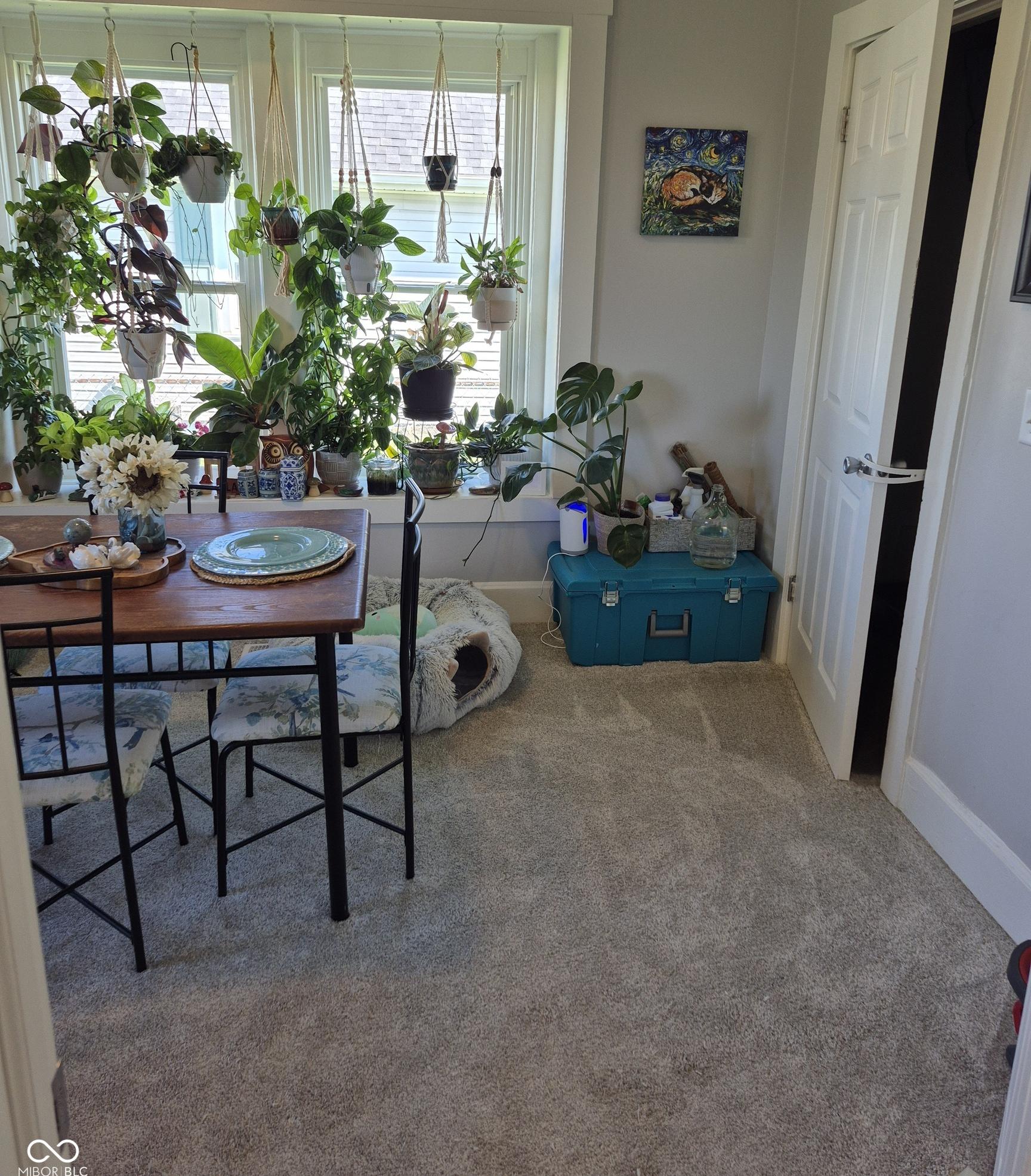 Photo #17