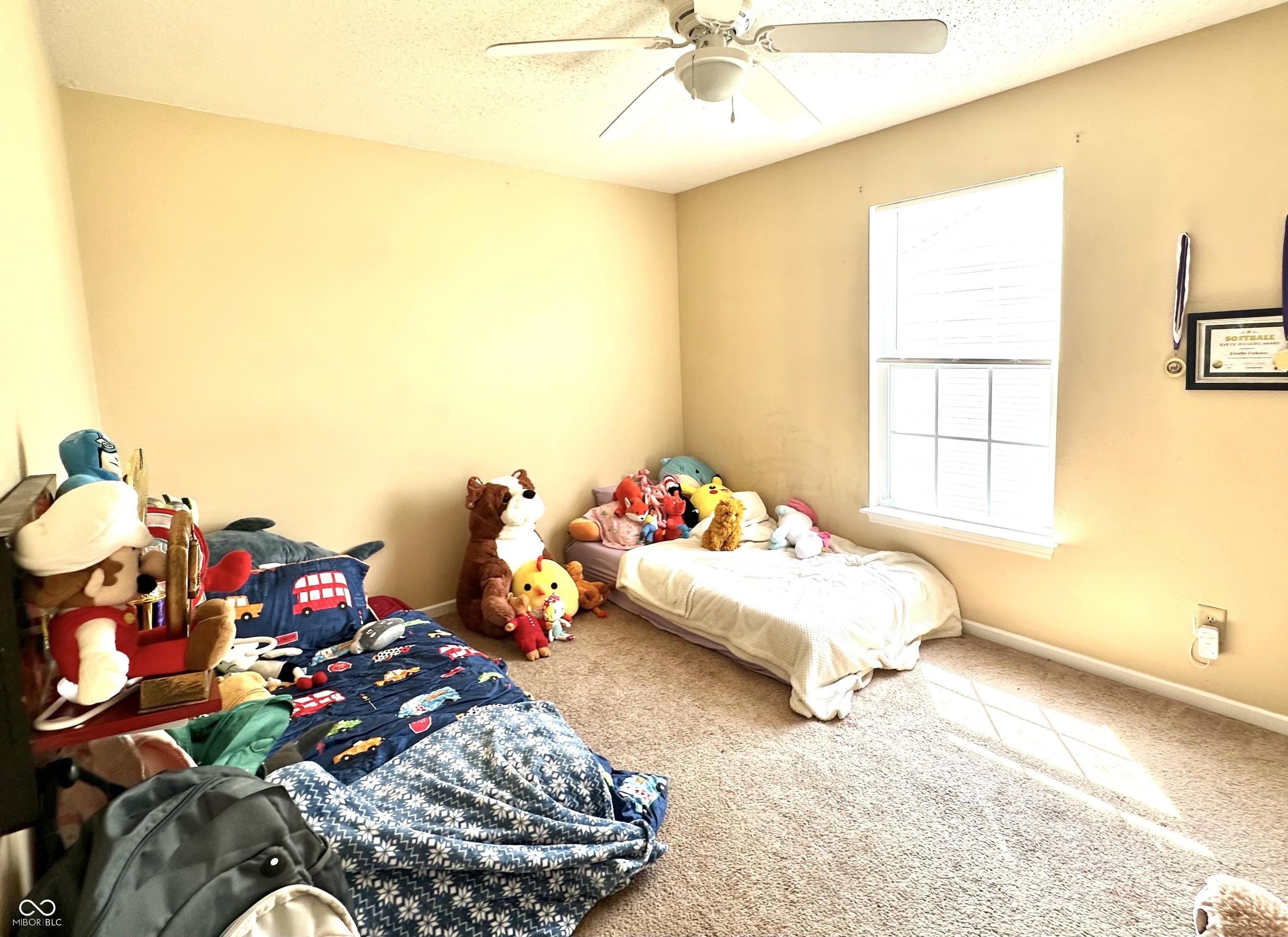 Photo #23