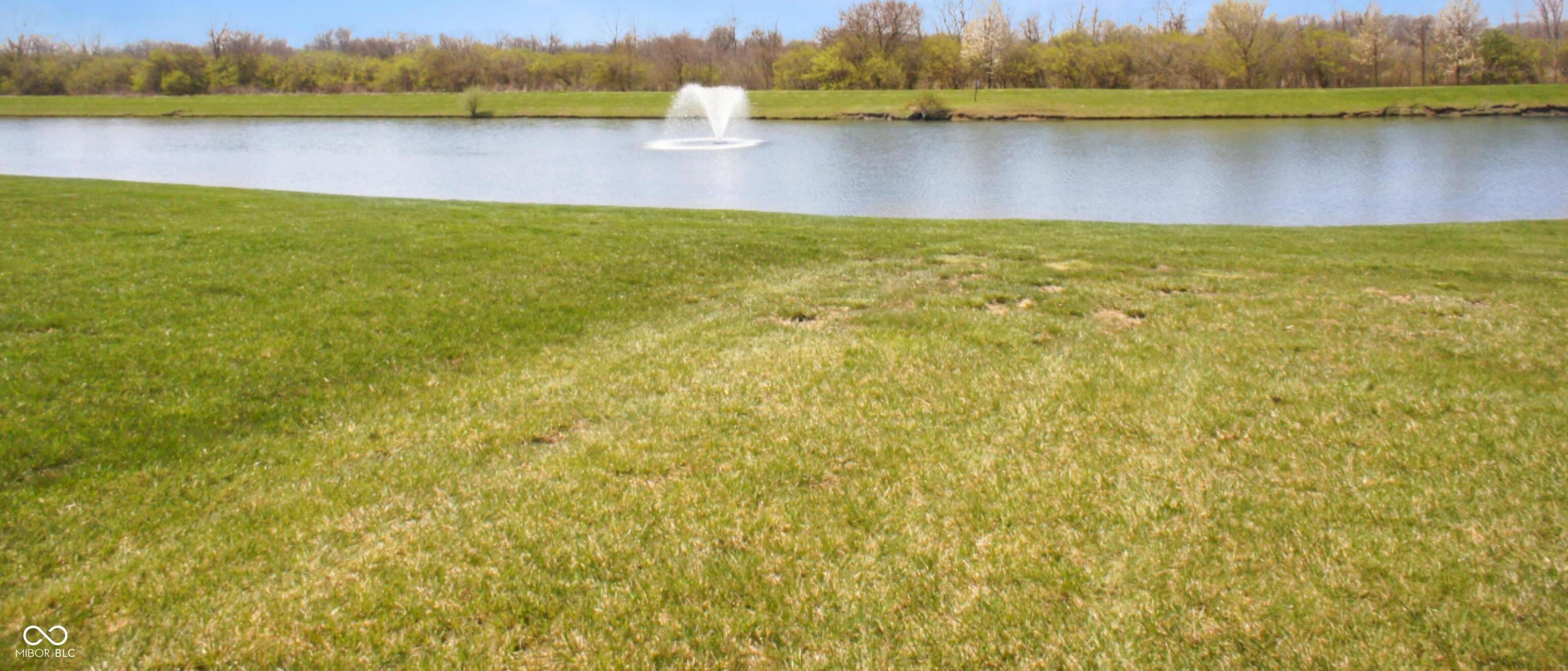 Photo #32
