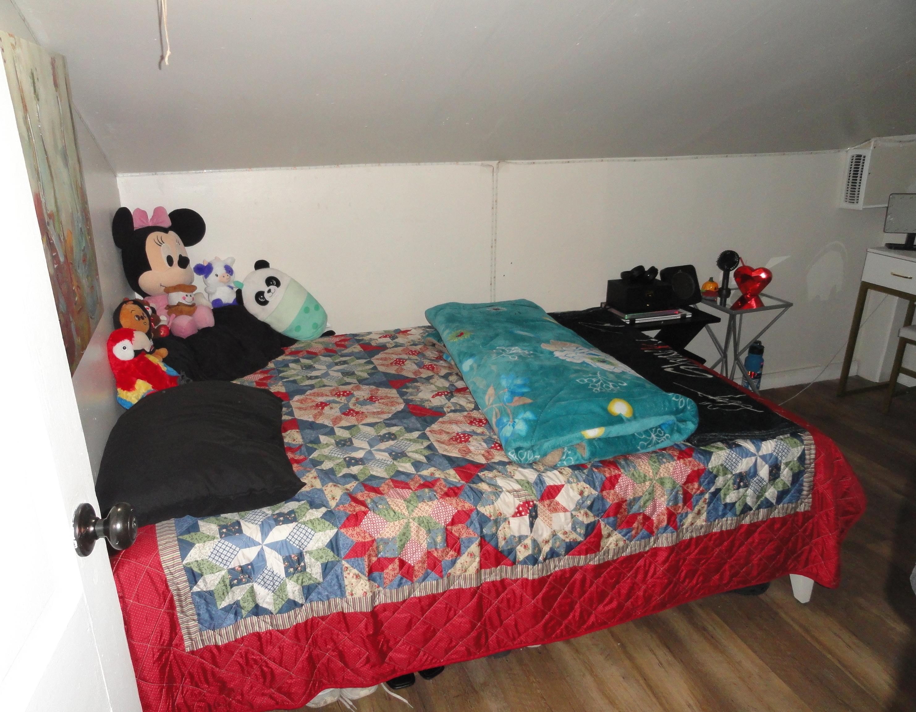 Photo #19