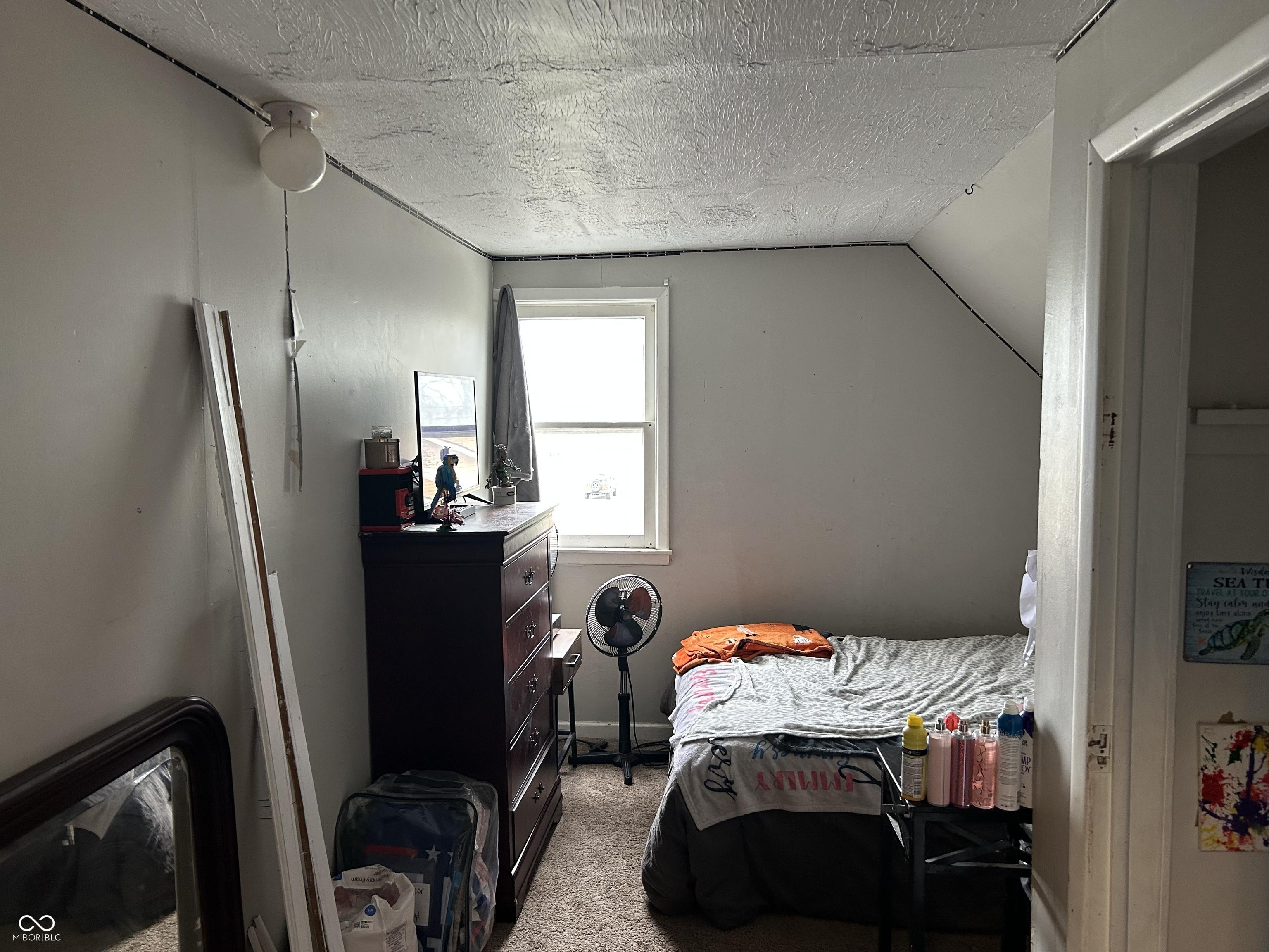 Photo #11