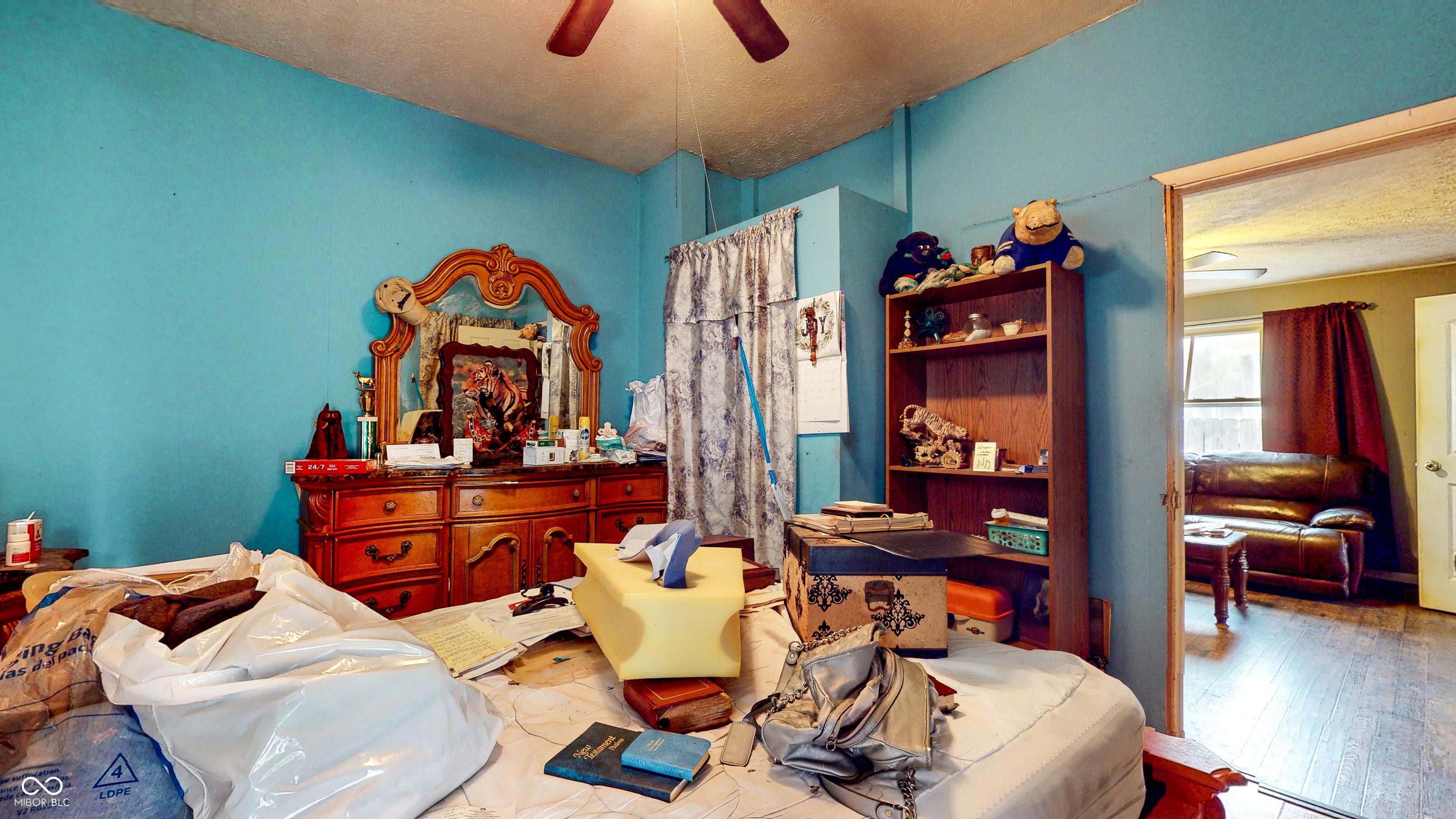 Photo #12
