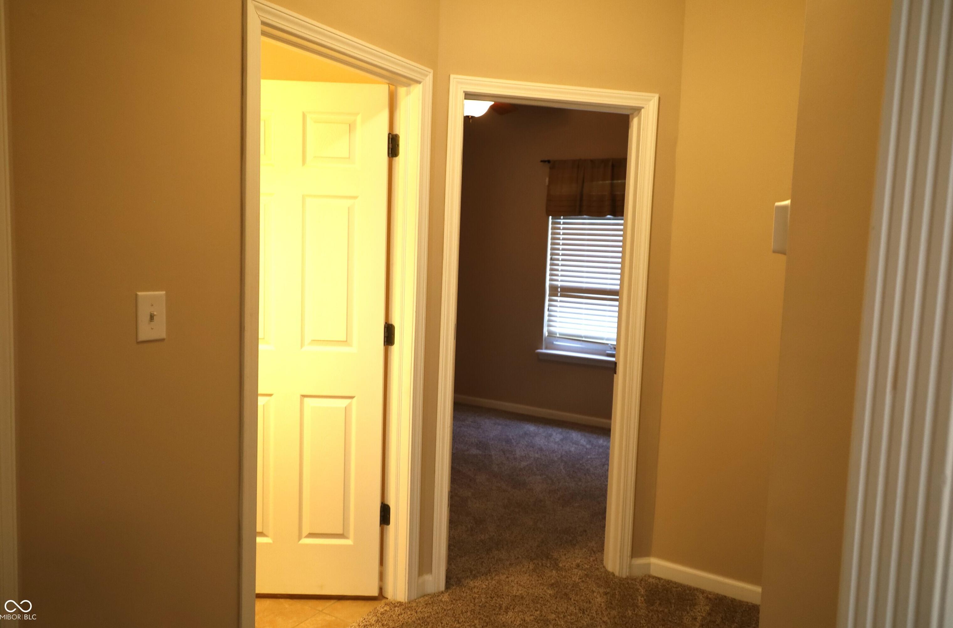 Photo #13