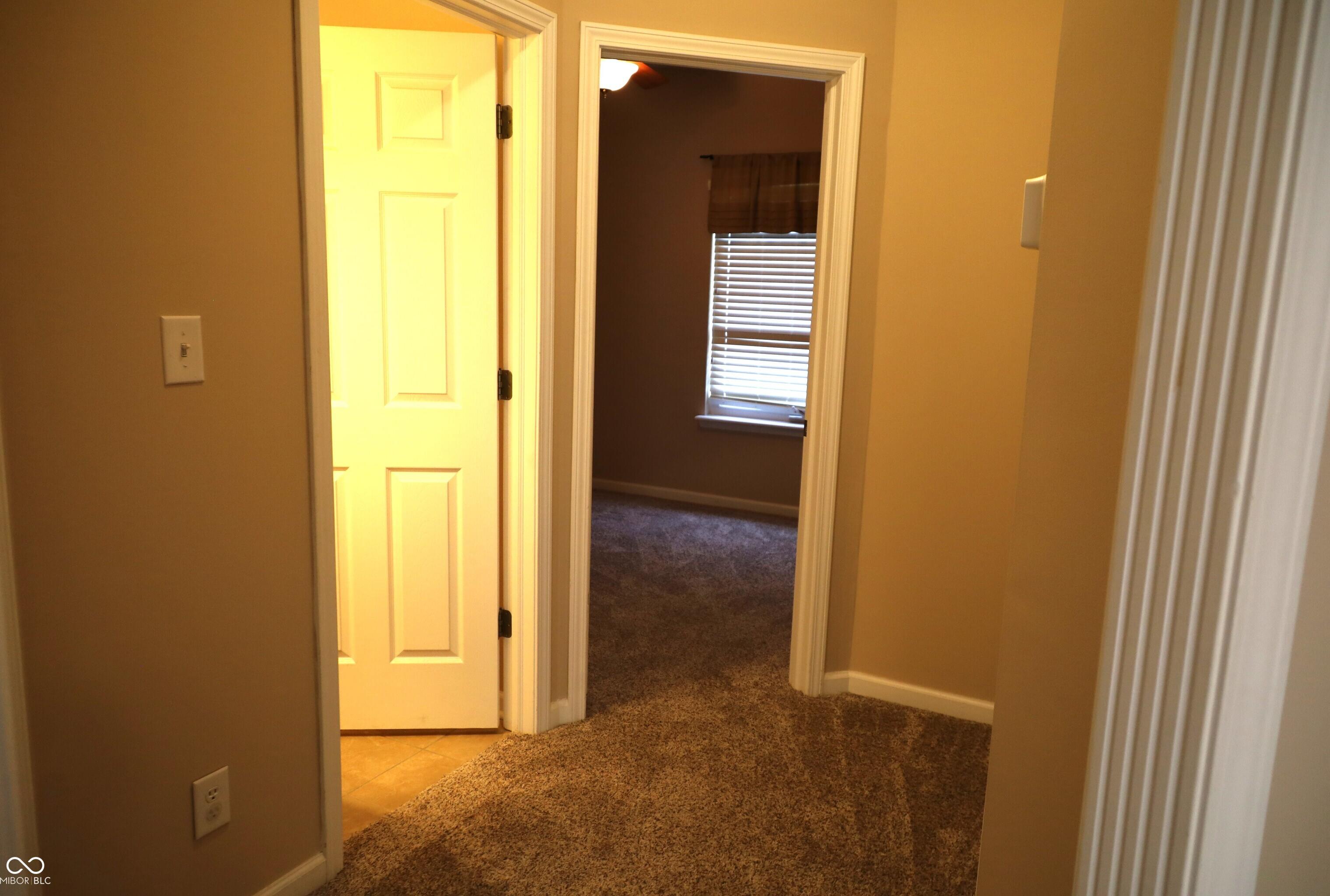 Photo #14