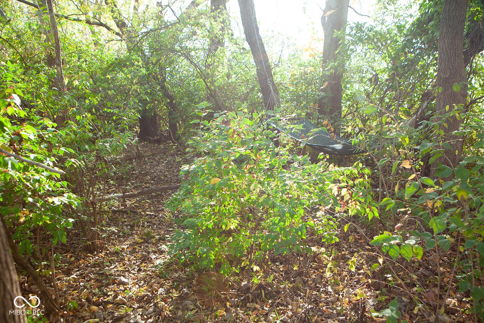 Photo #44