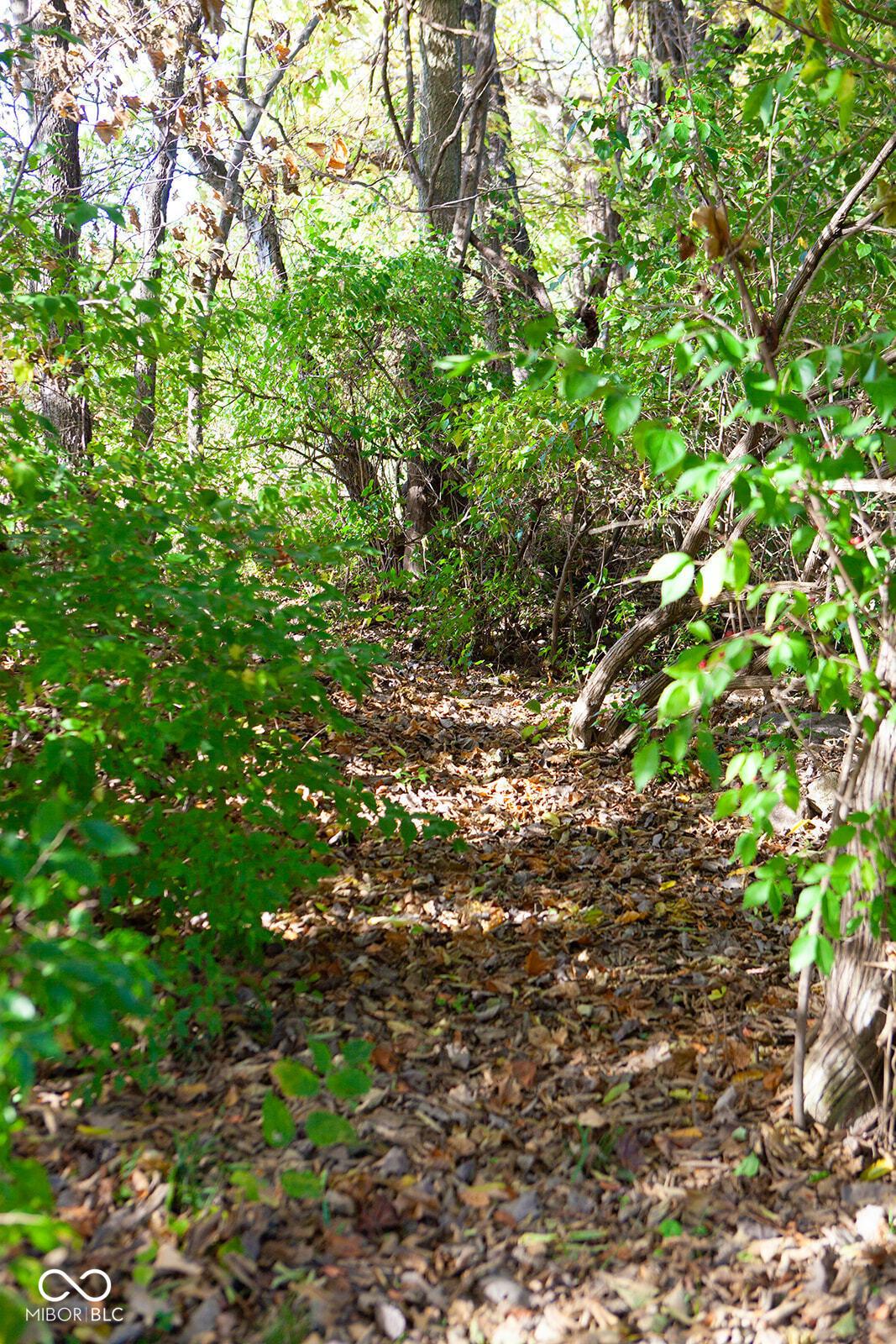 Photo #45