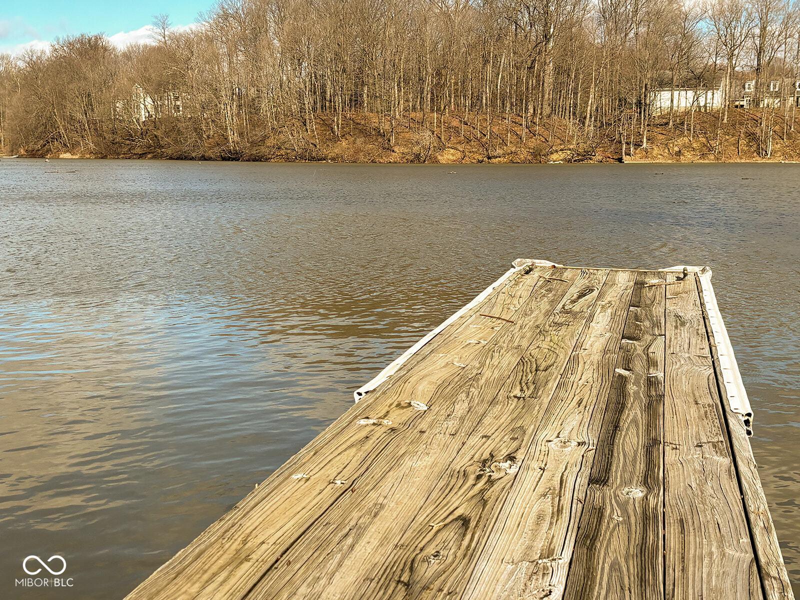 Photo #18