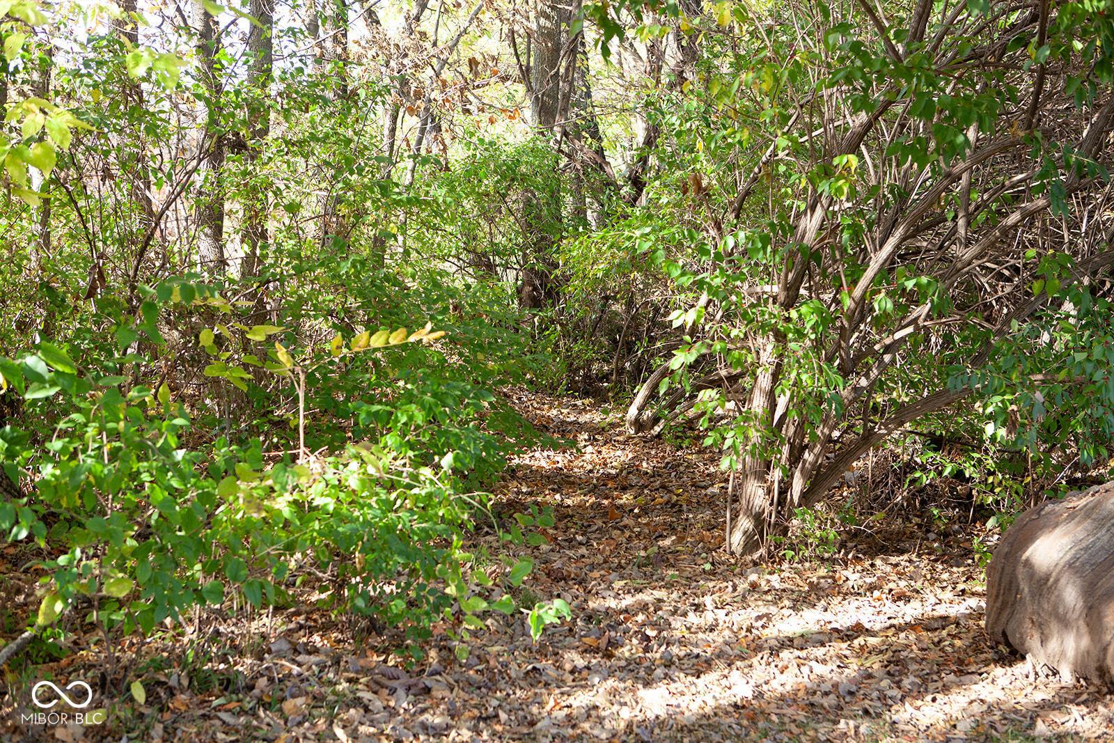 Photo #35