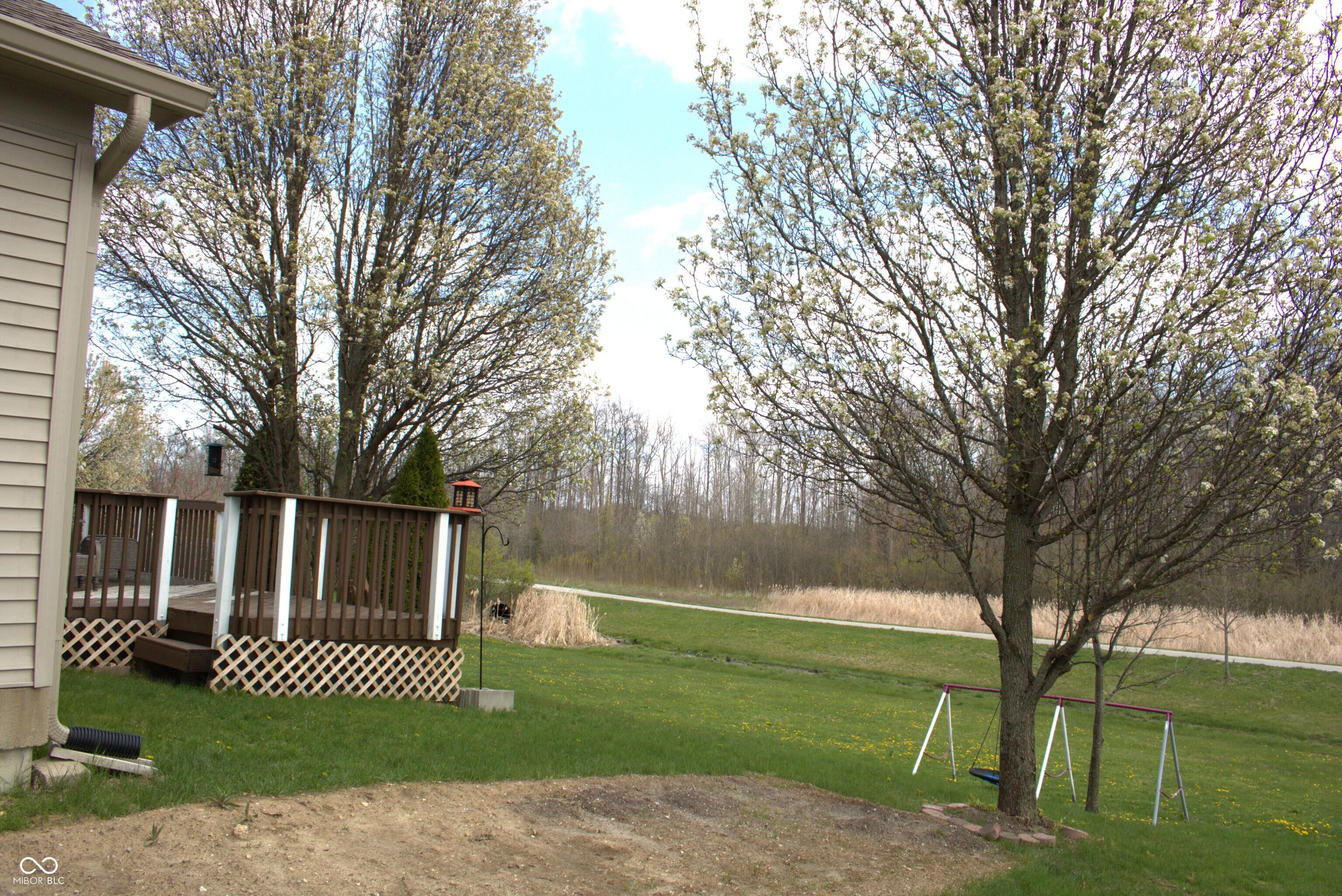 Photo #21