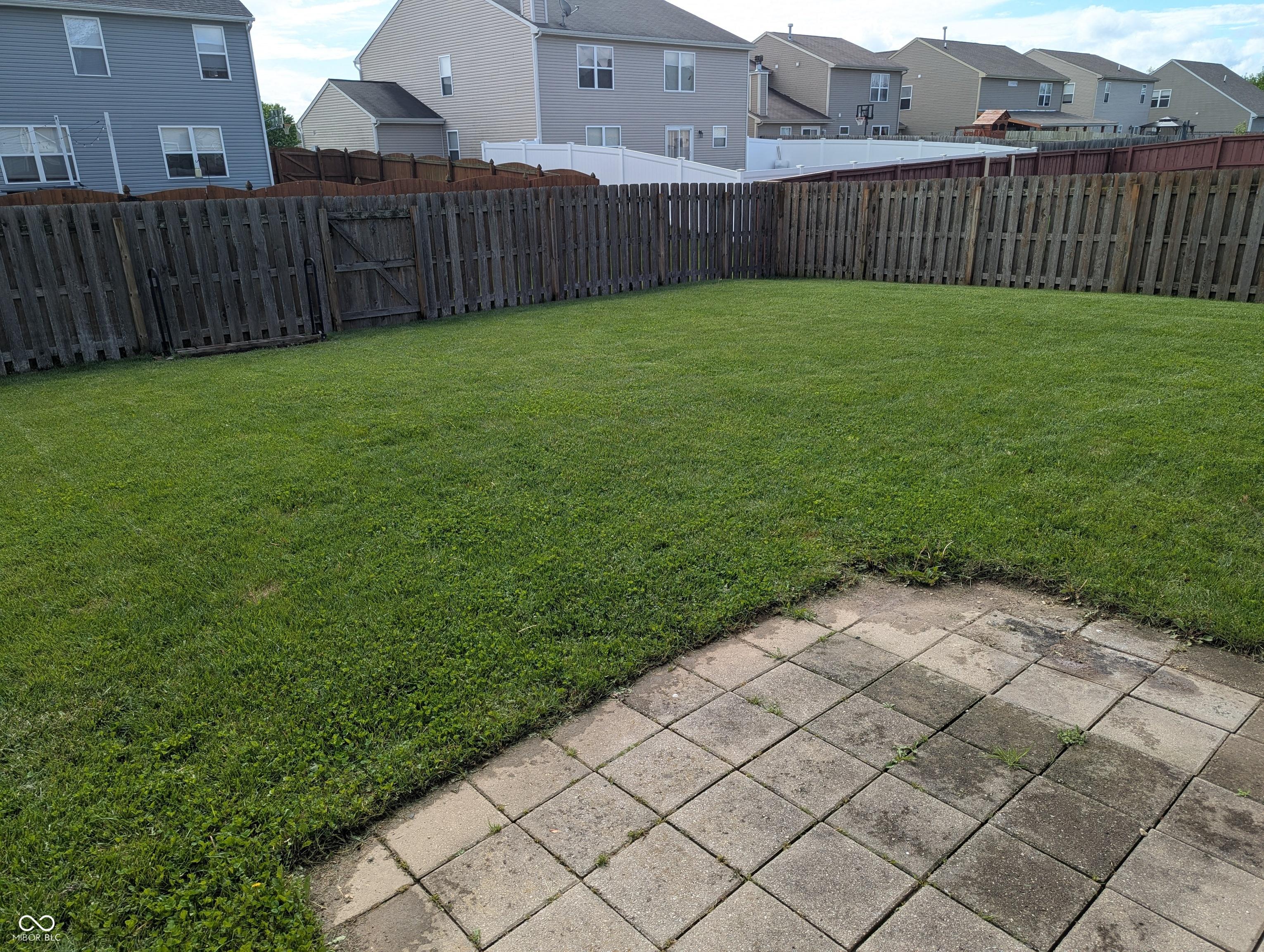 Photo #31