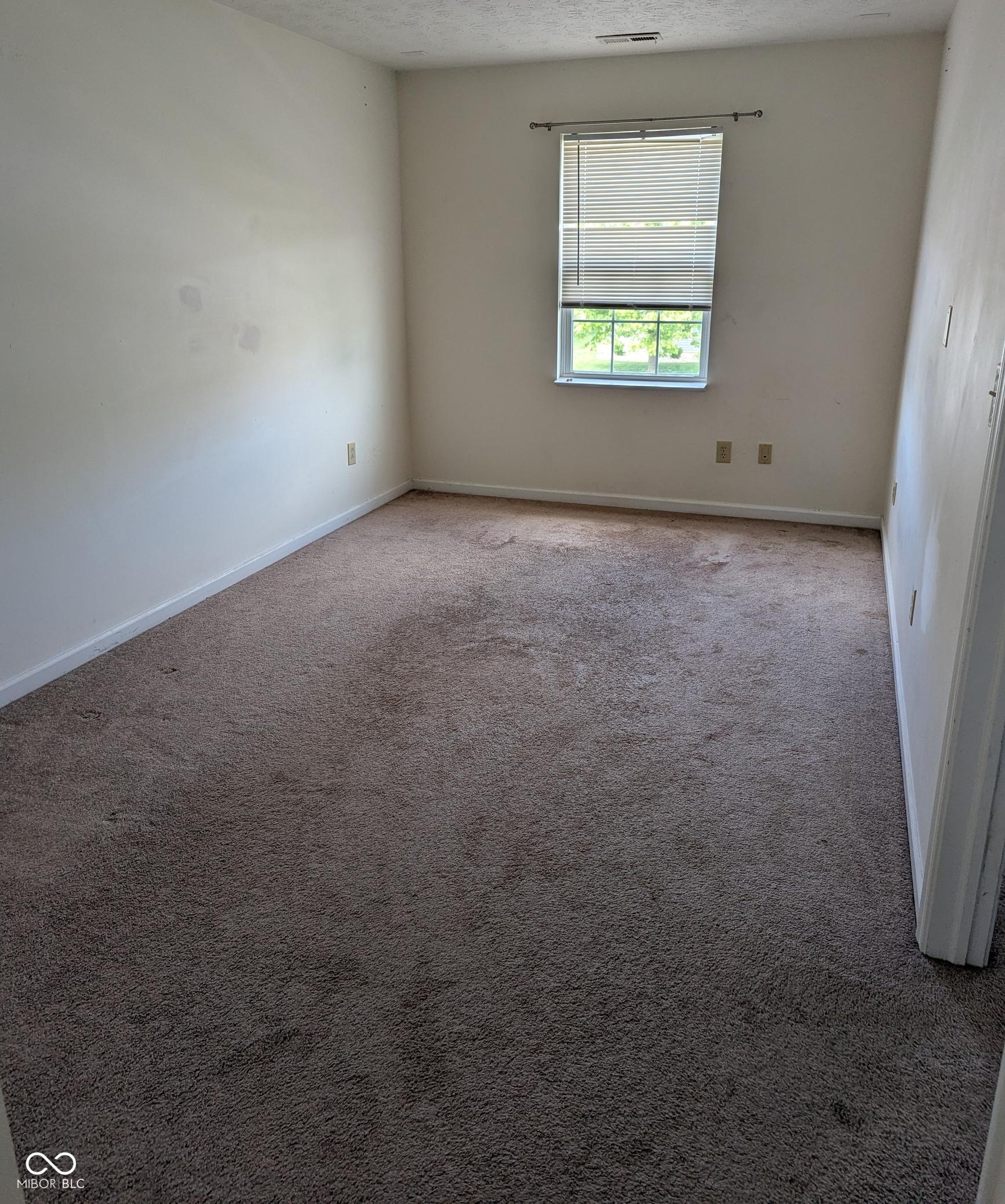 Photo #23