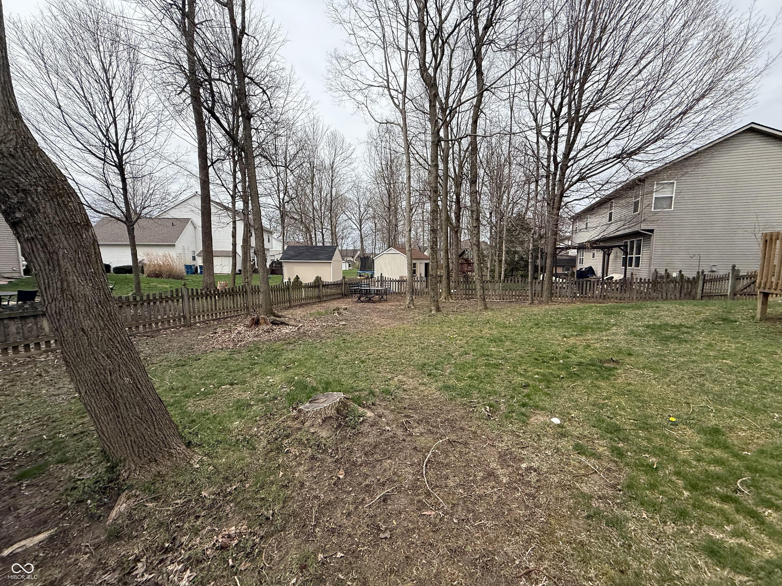 Photo #17
