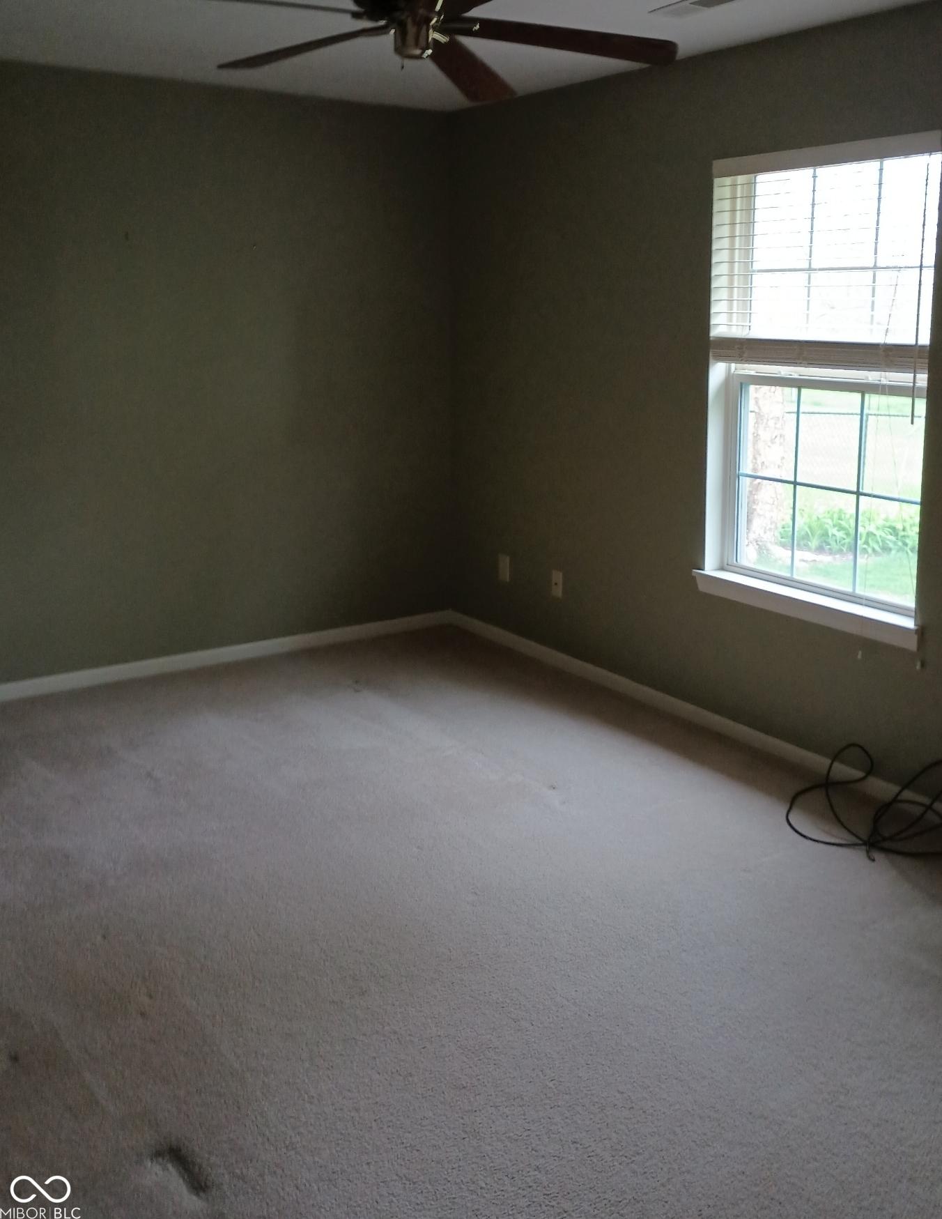 Photo #21