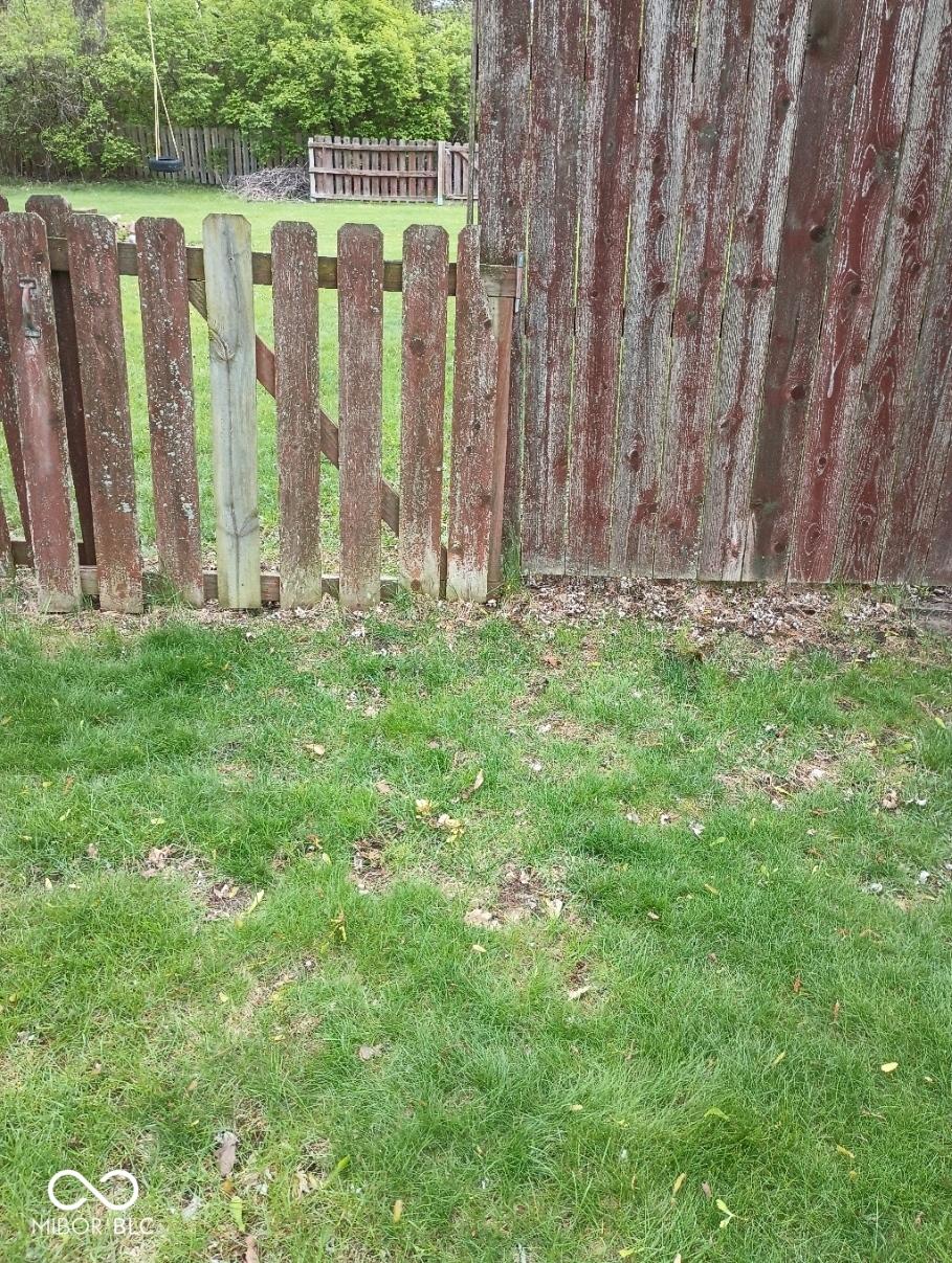 Photo #36