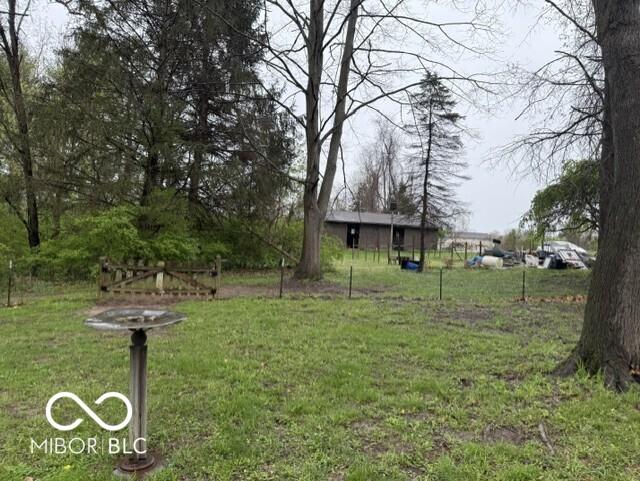 Photo #4
