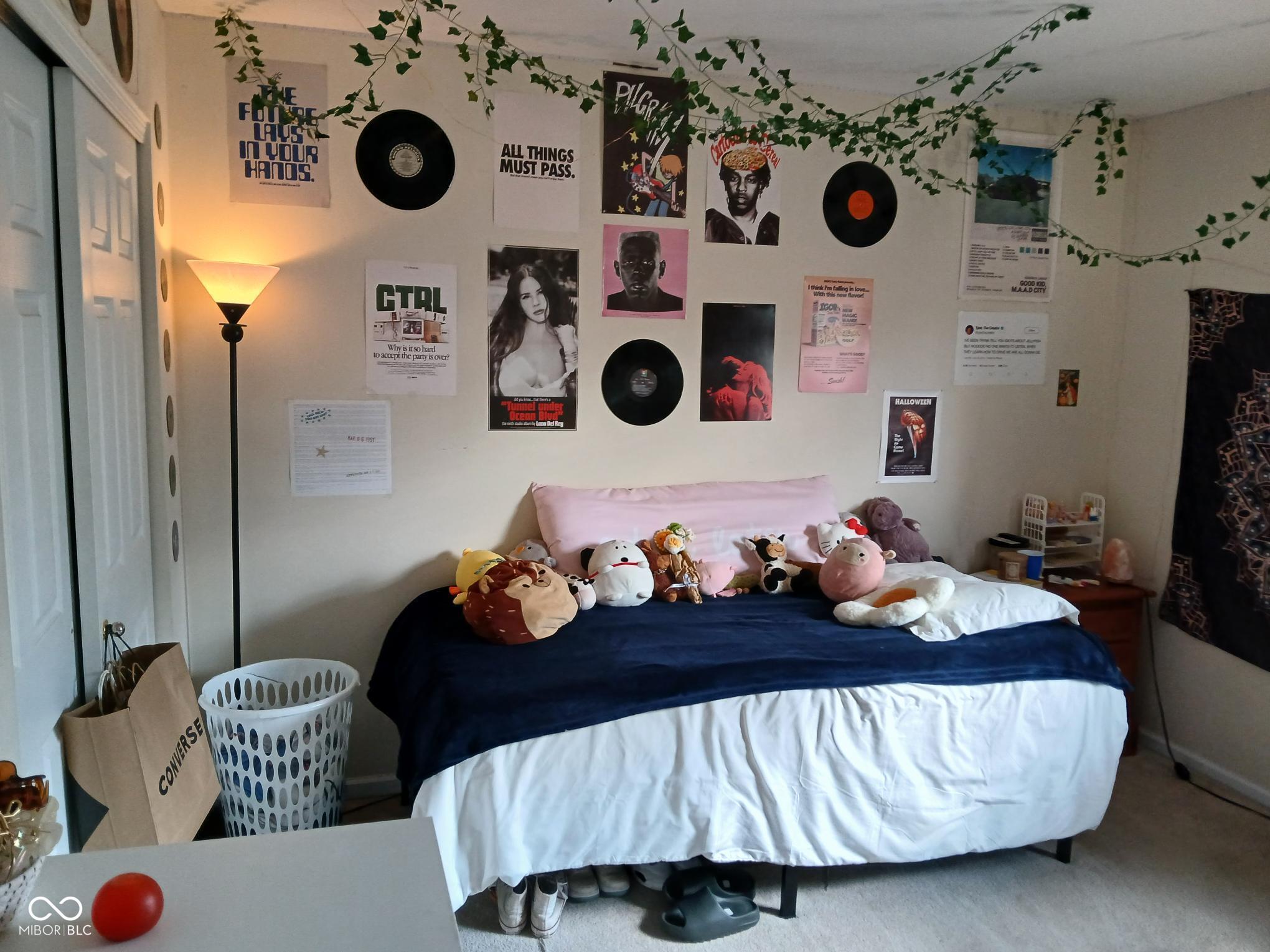 Photo #16