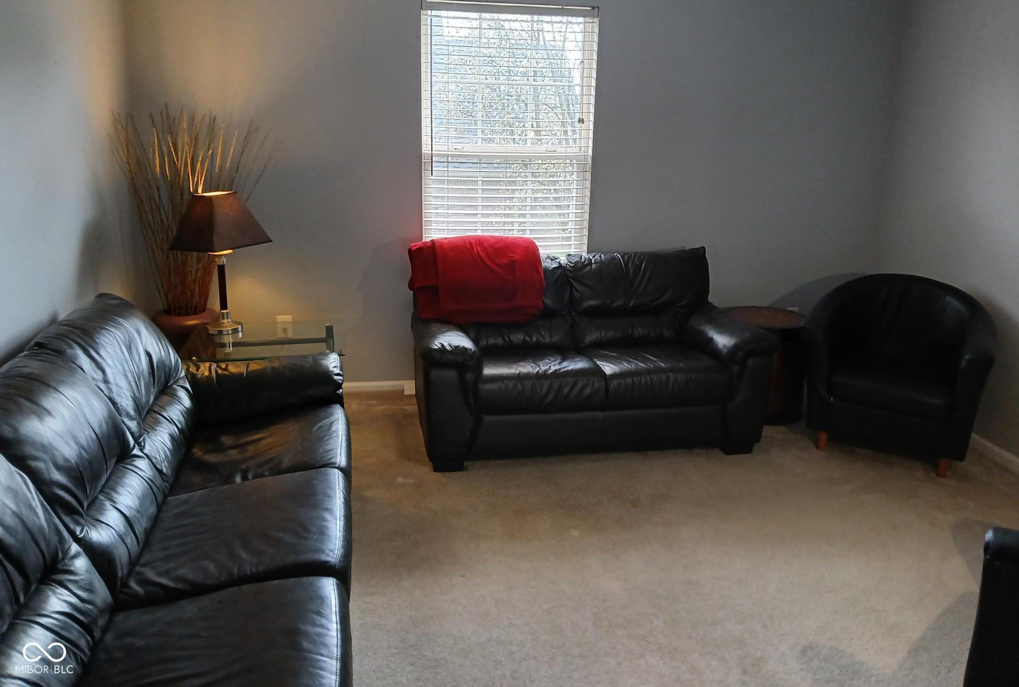 Photo #19
