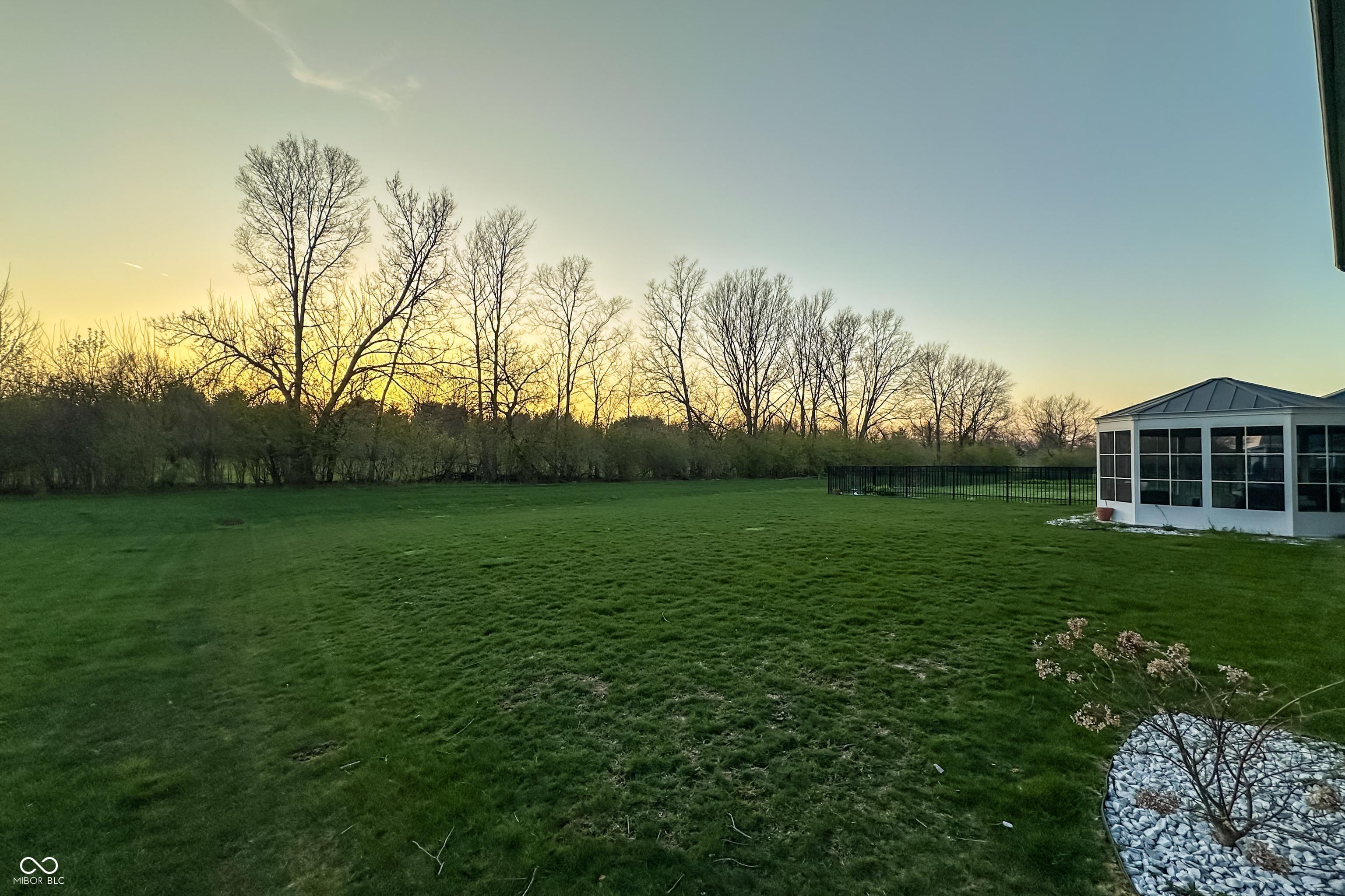 Photo #55
