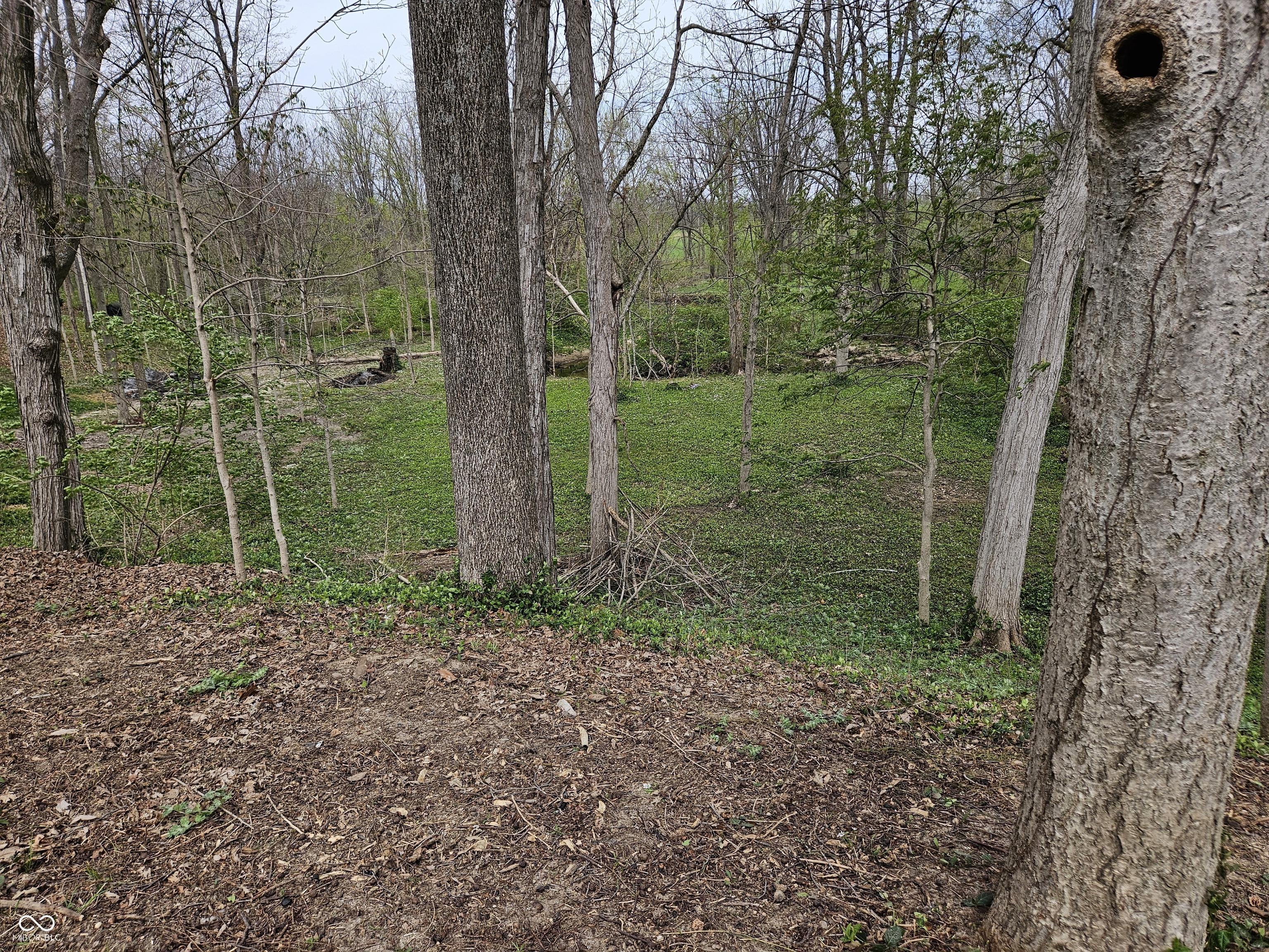 Photo #37