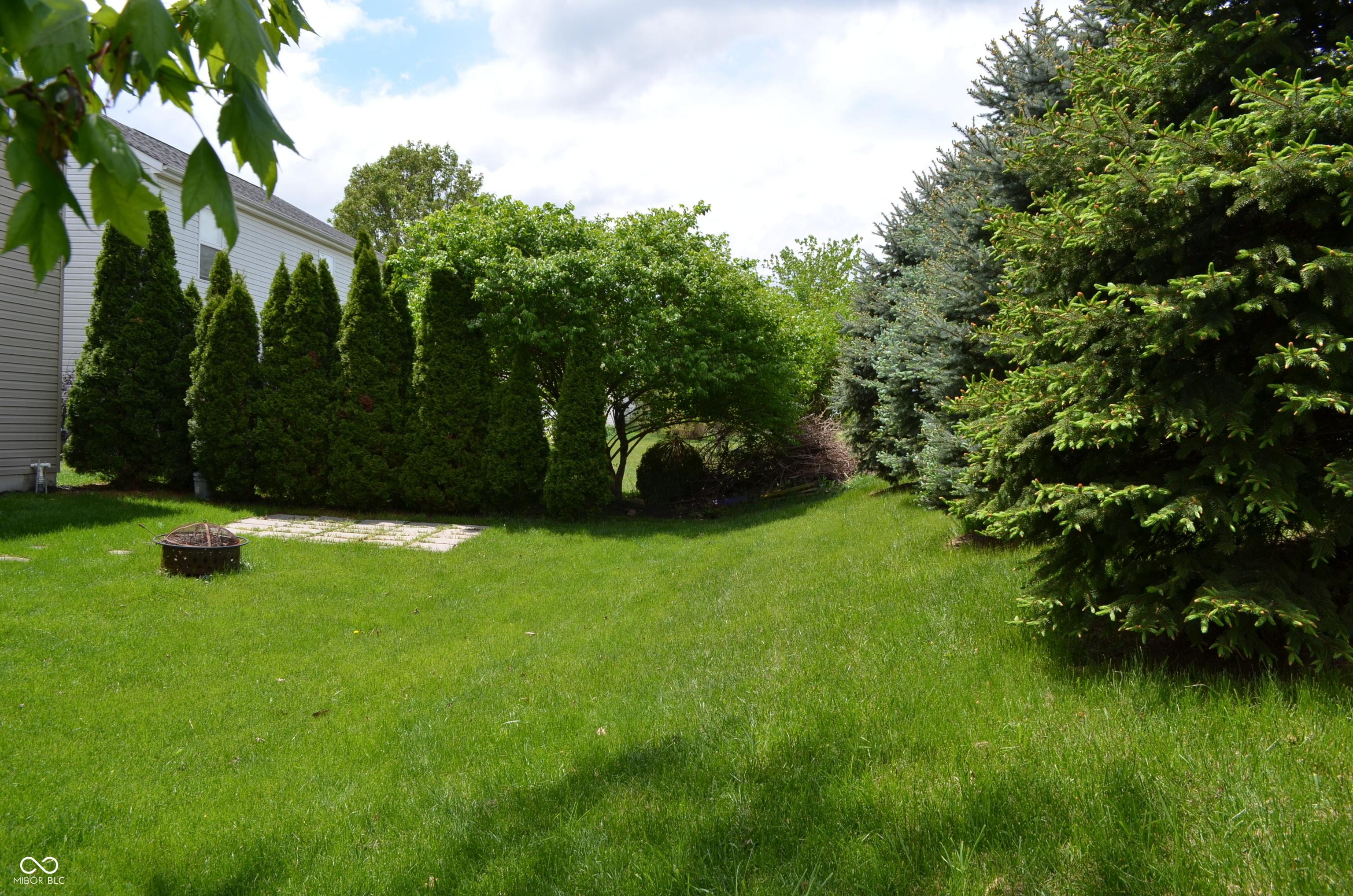 Photo #31