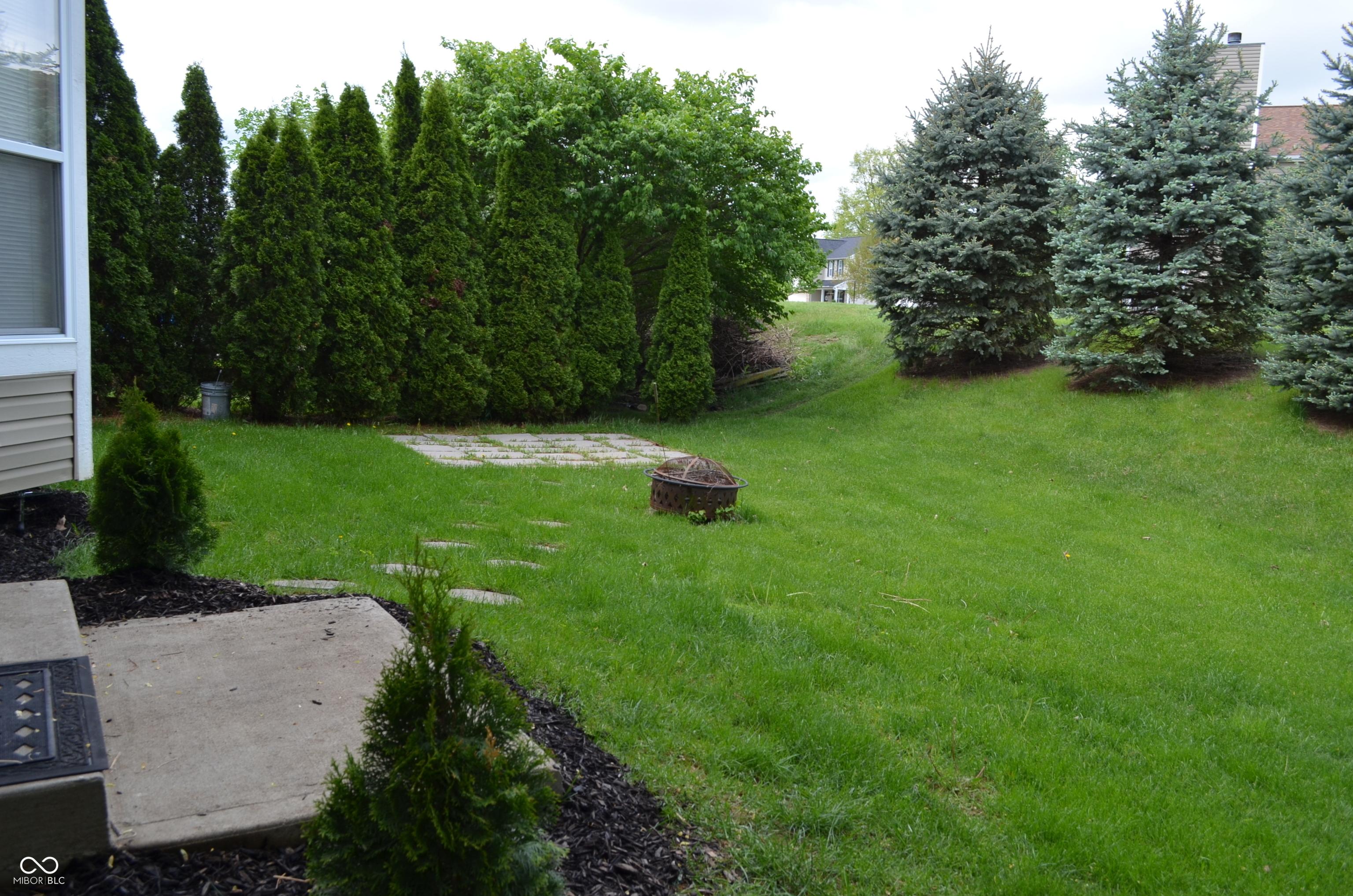 Photo #28