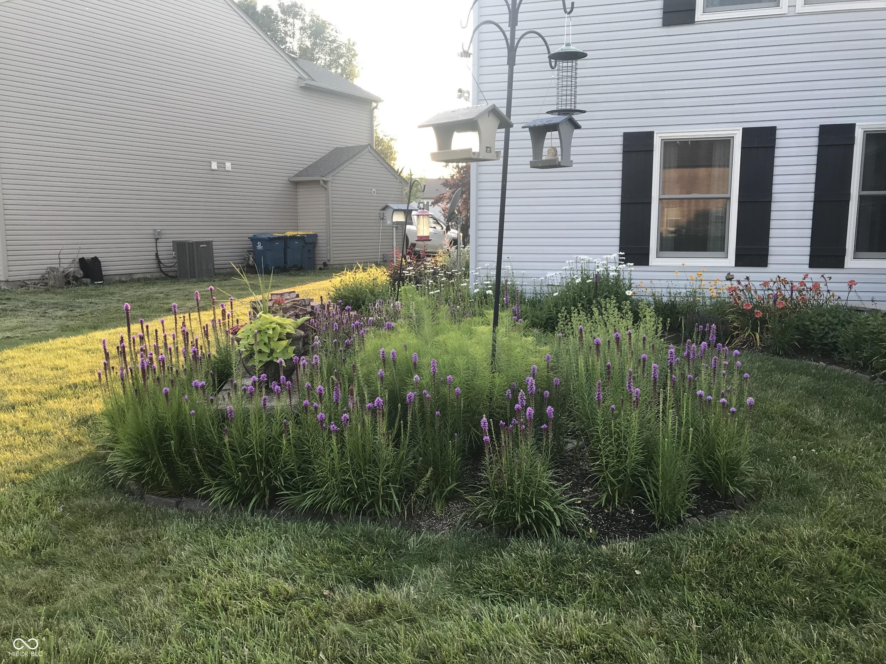 Photo #25