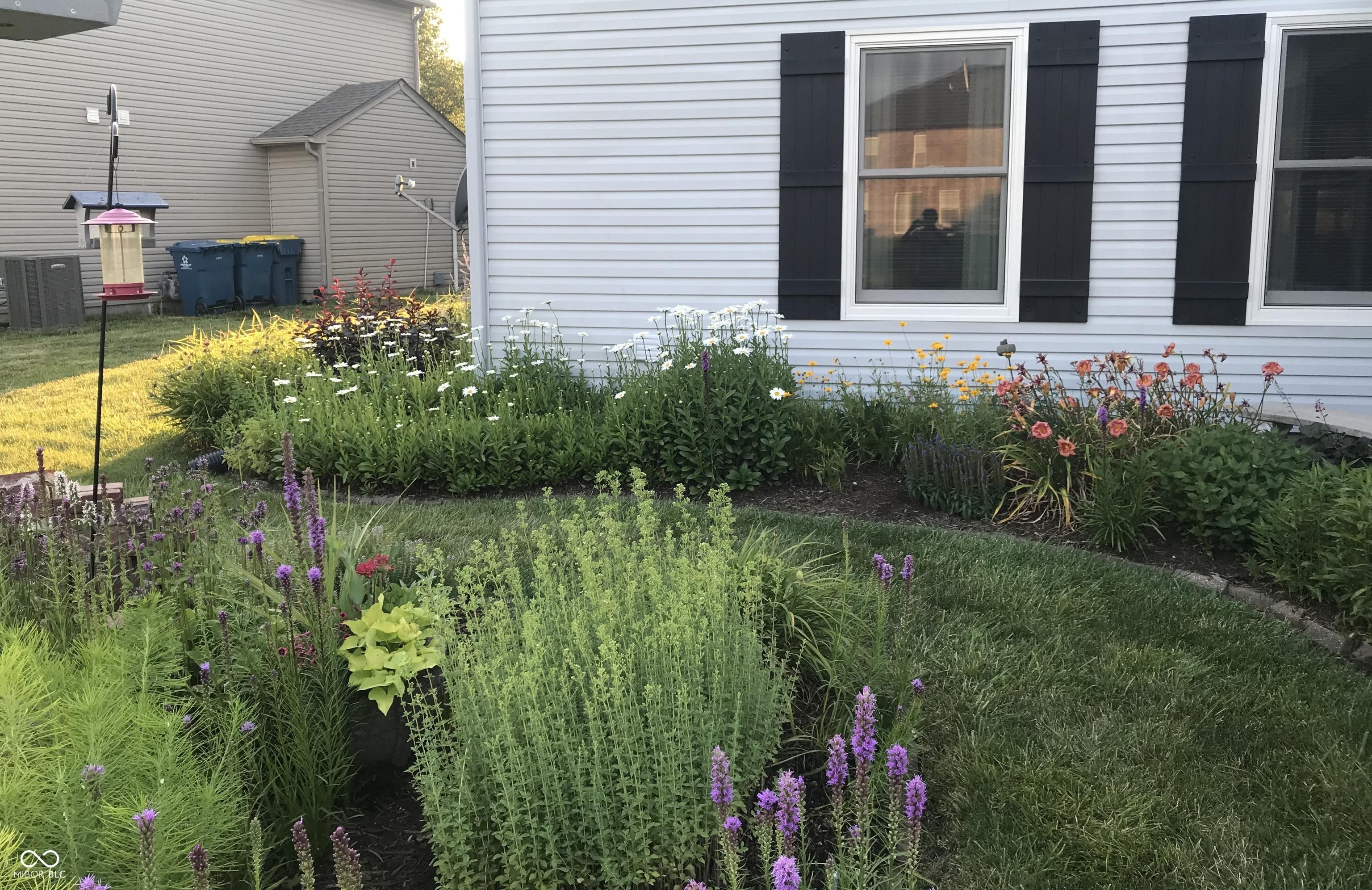 Photo #26