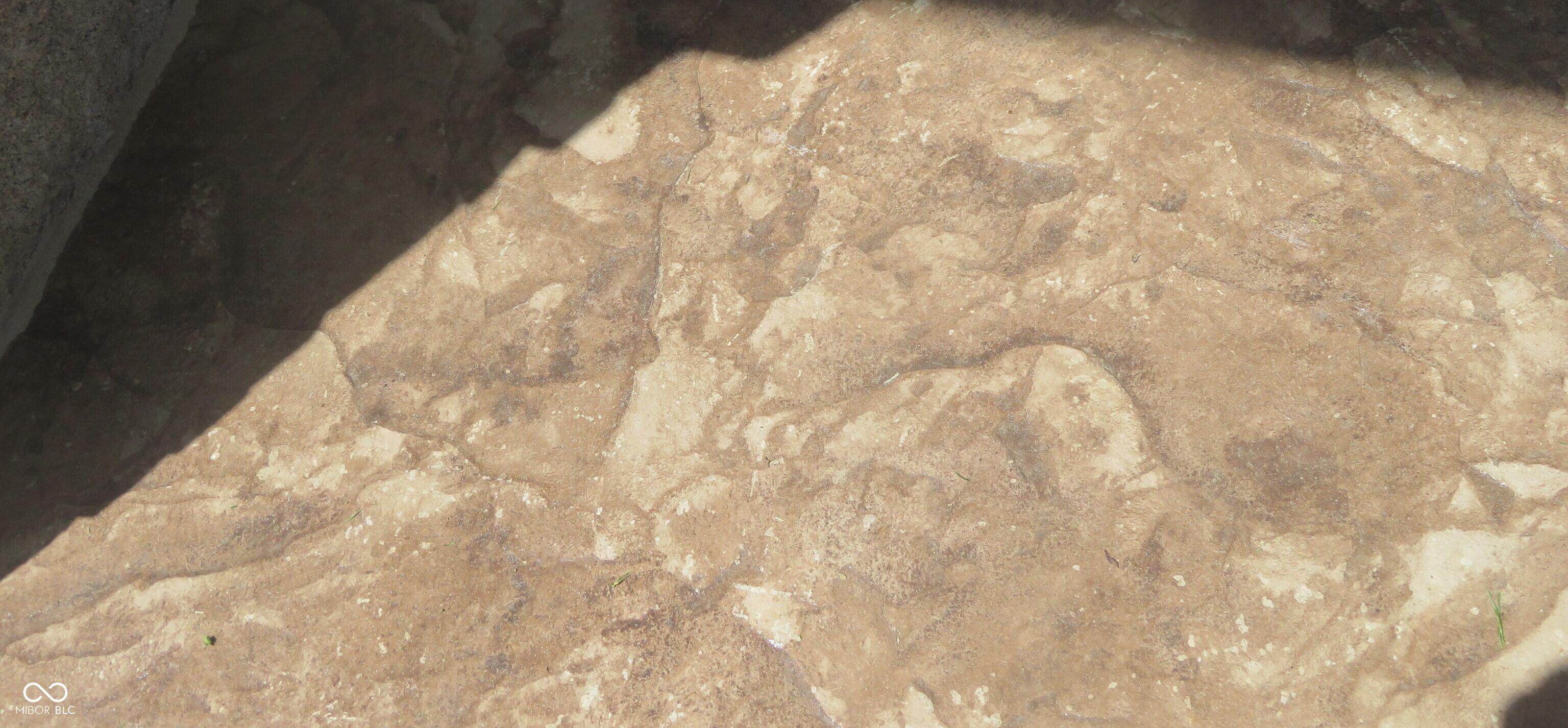 Photo #13