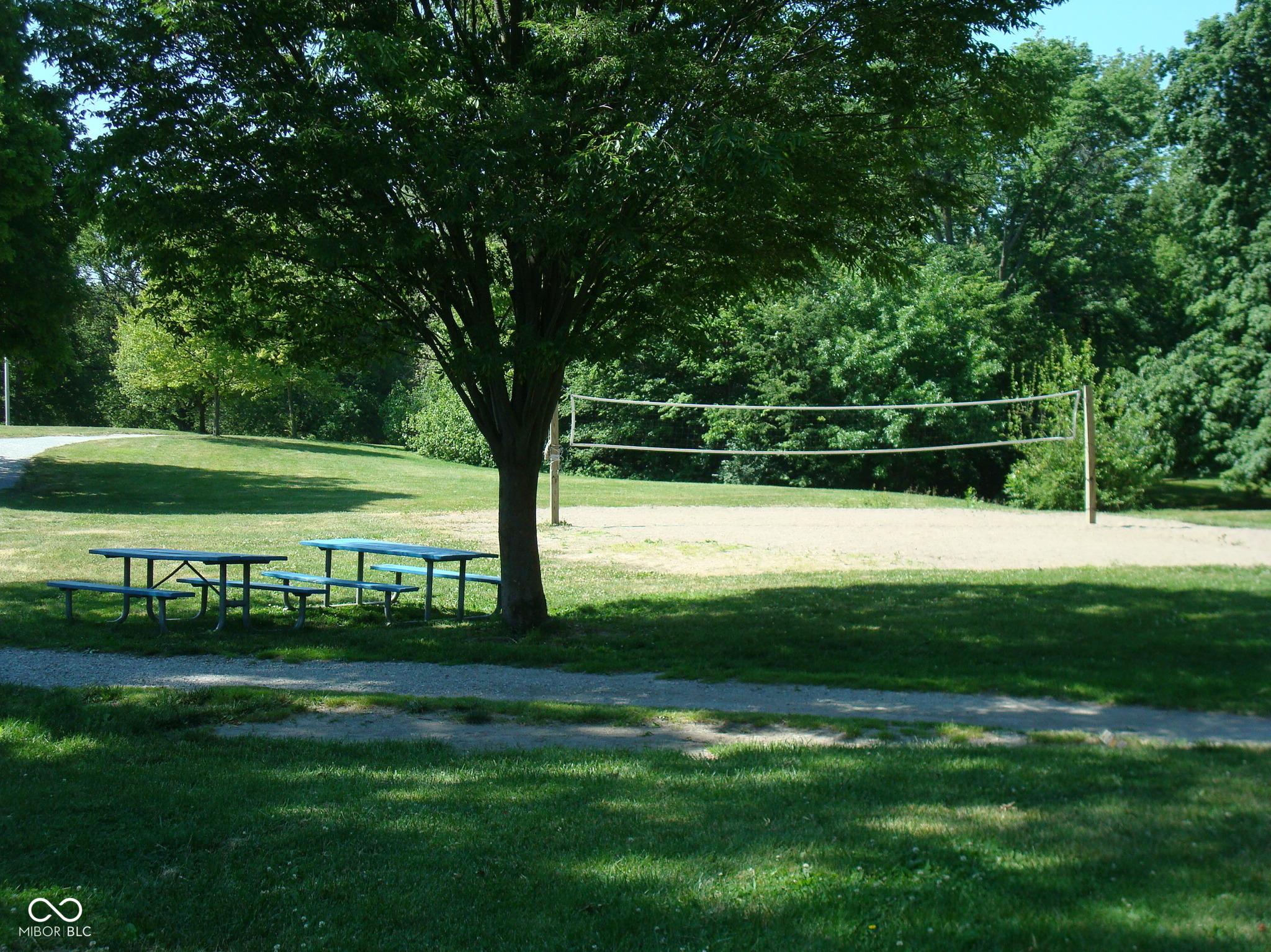 Photo #38