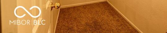 Photo #43