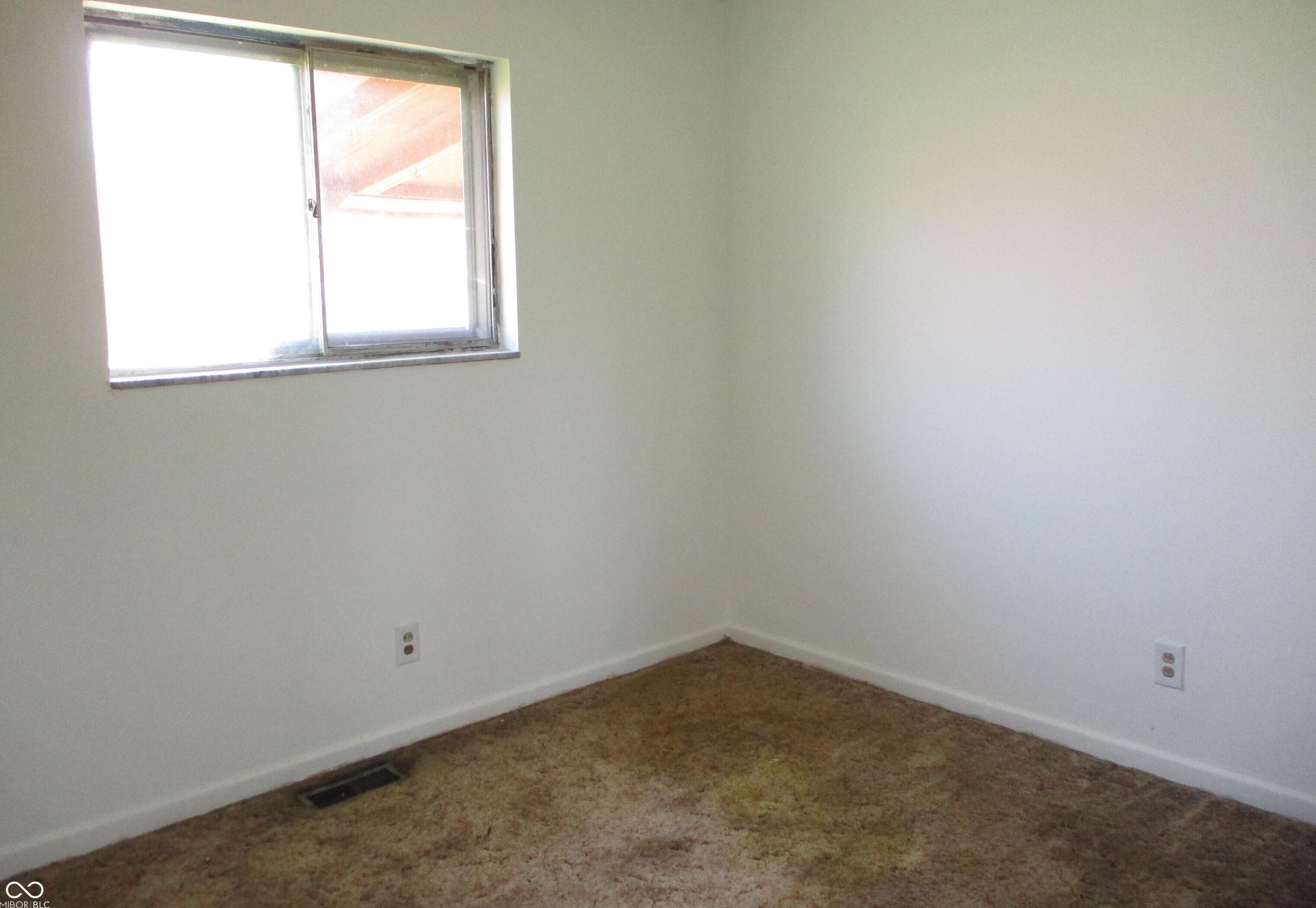Photo #11