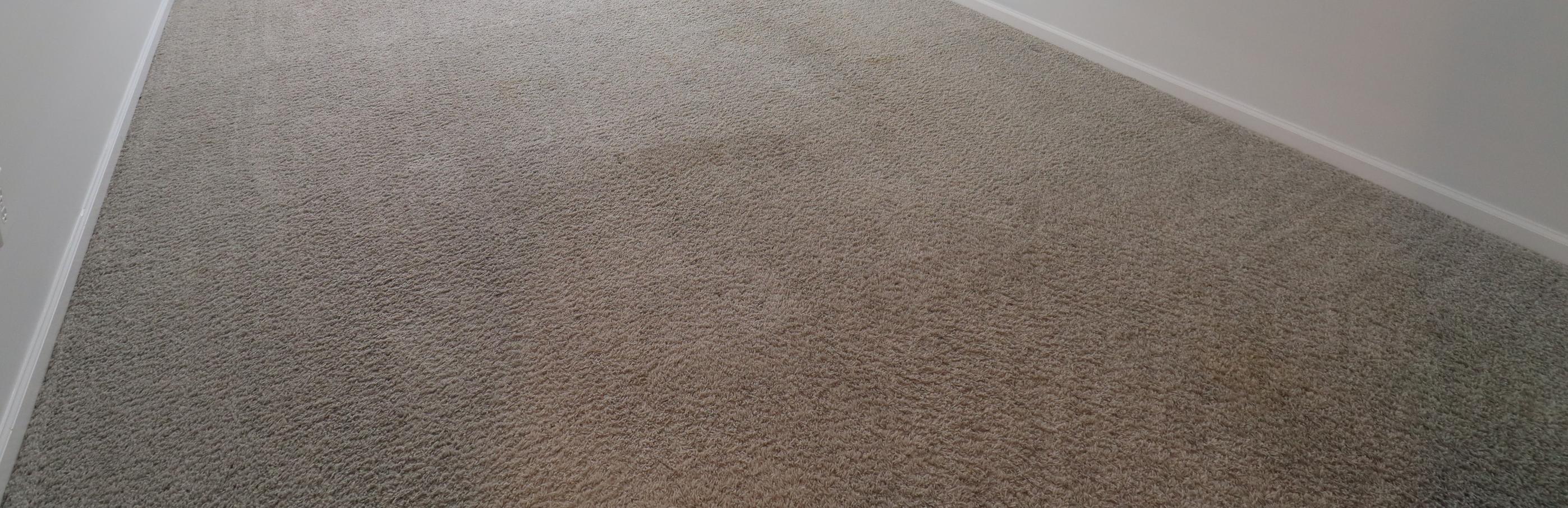 Photo #24
