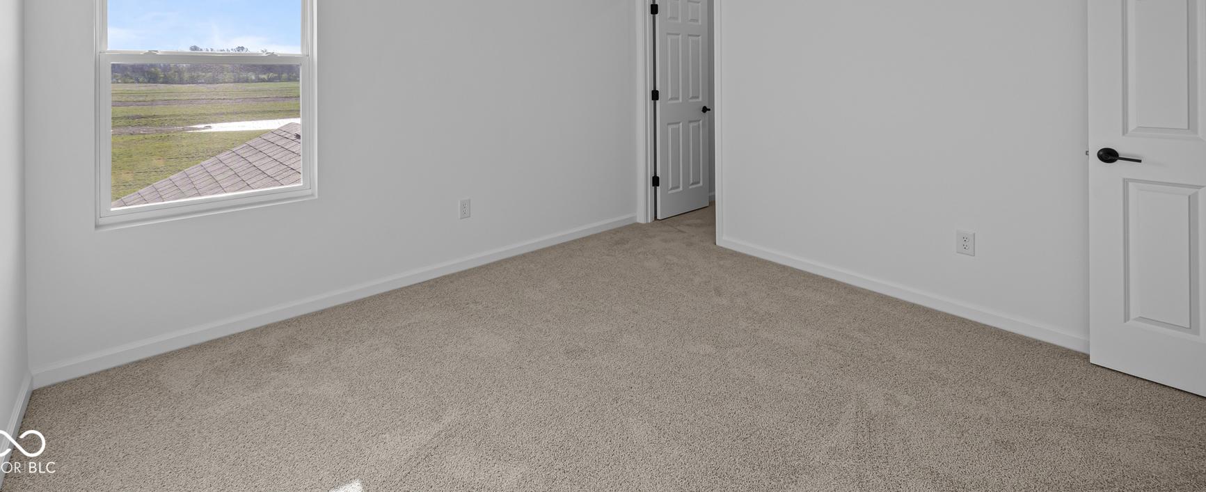 Photo #19