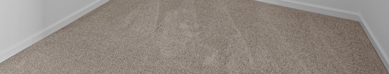 Photo #18