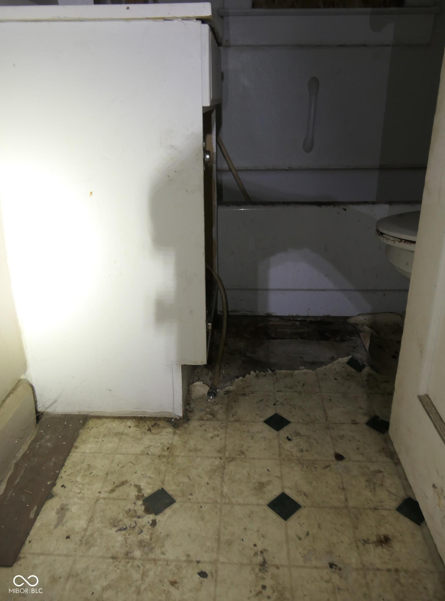 Photo #14