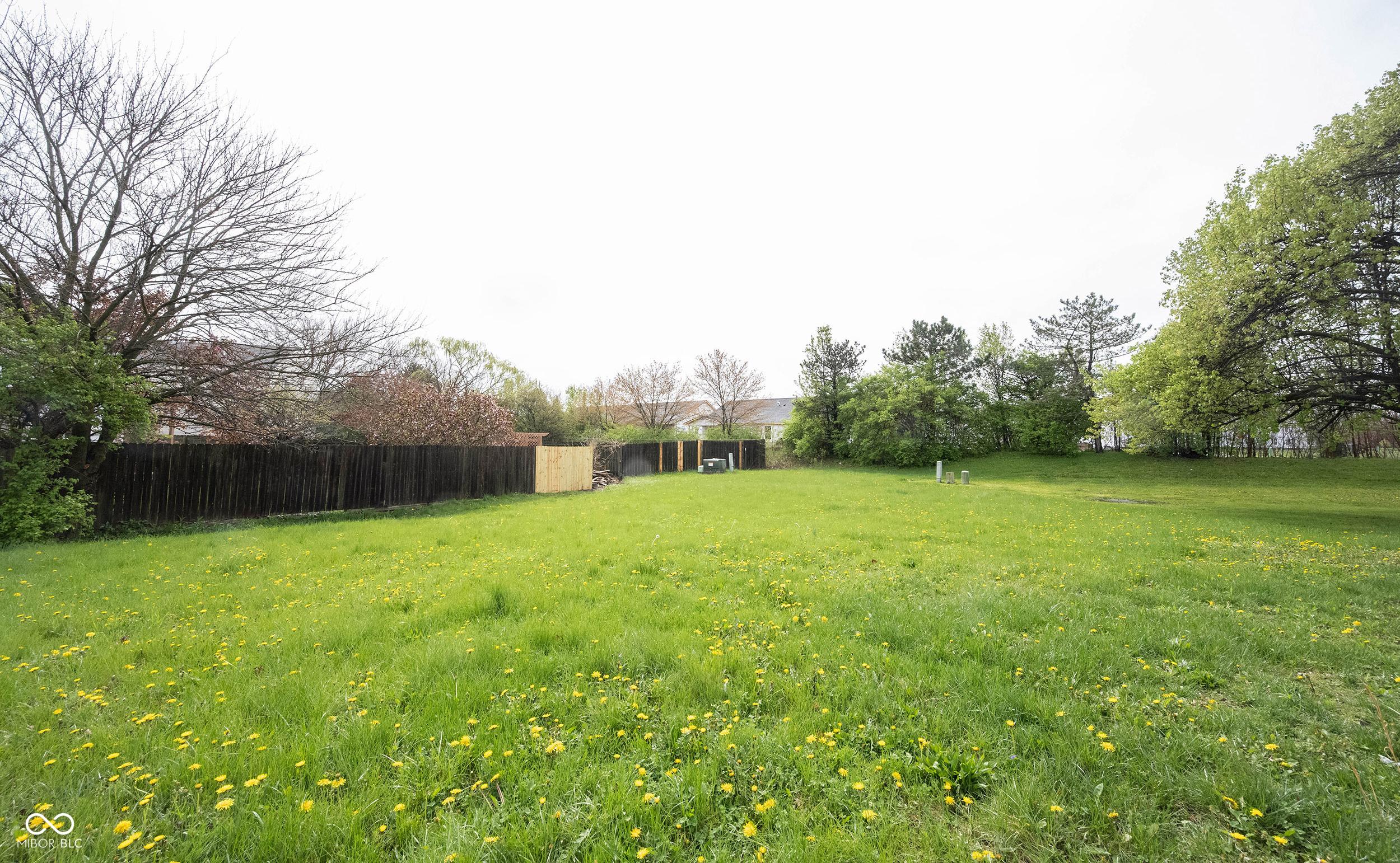 Photo #42